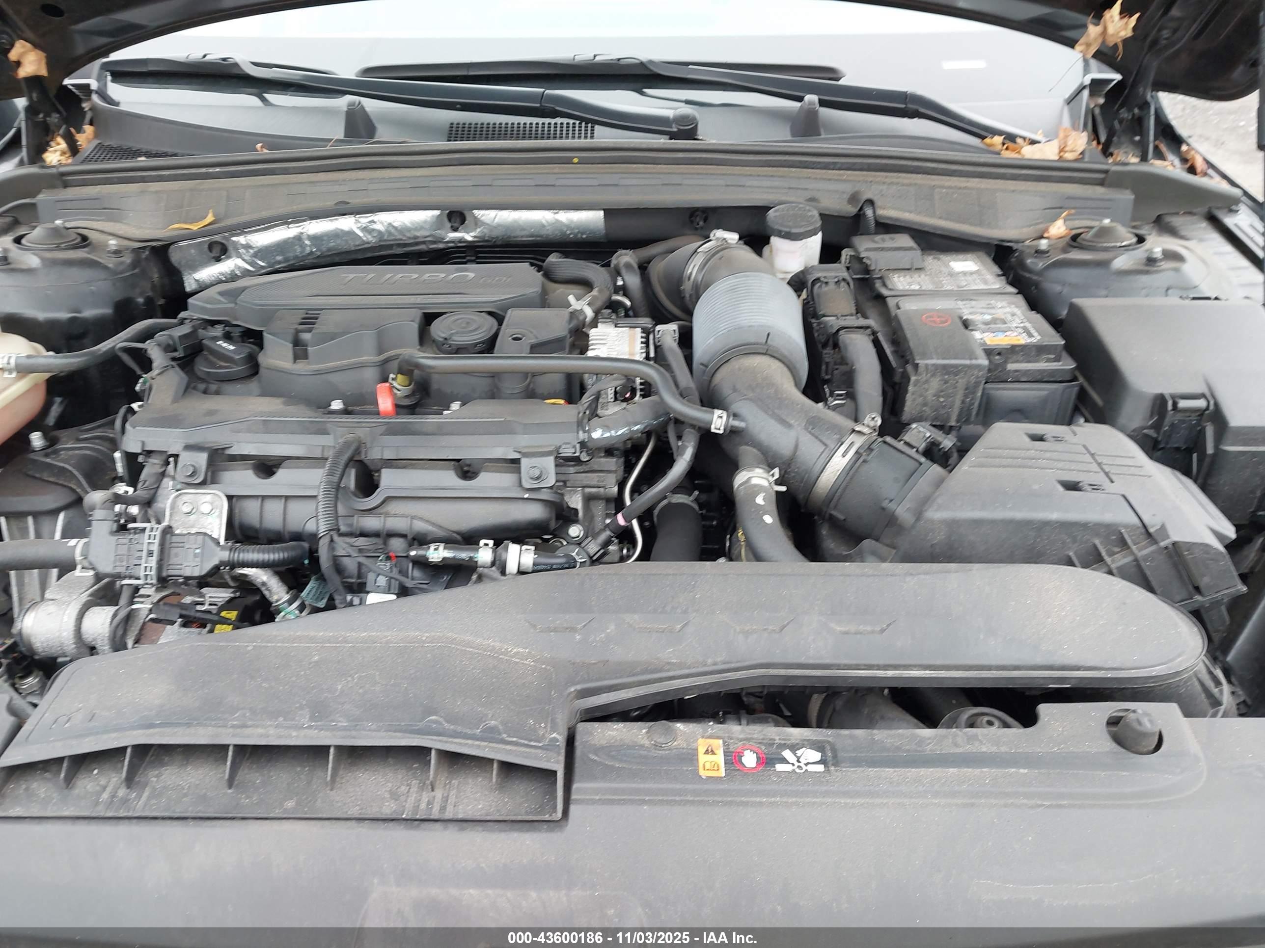 KIA K5 image 10