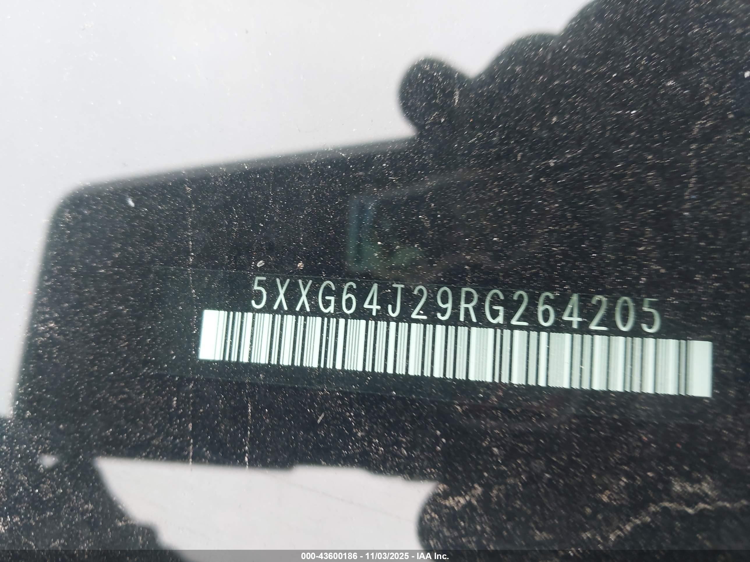 KIA K5 image 9