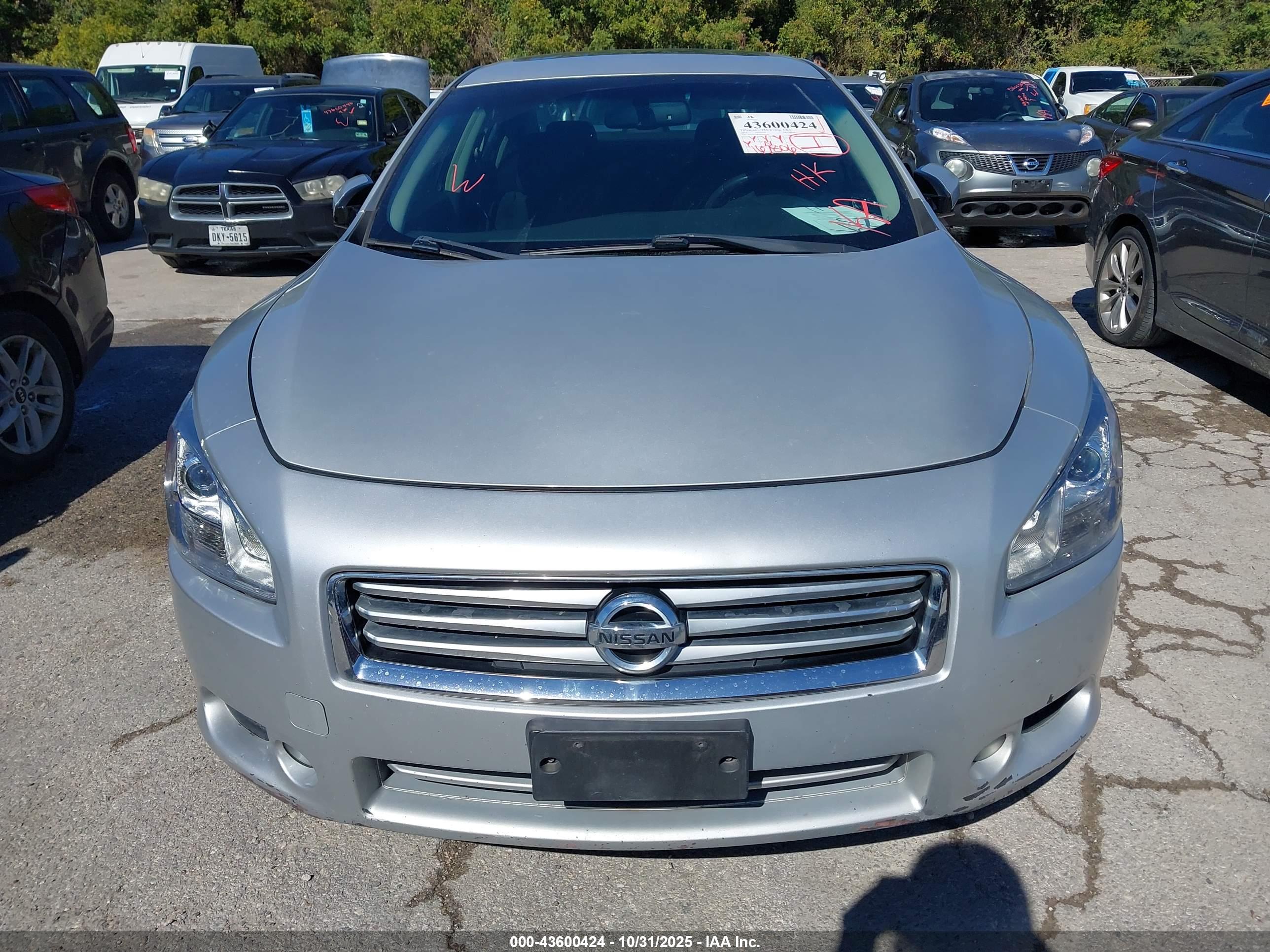 NISSAN MAXIMA image 6