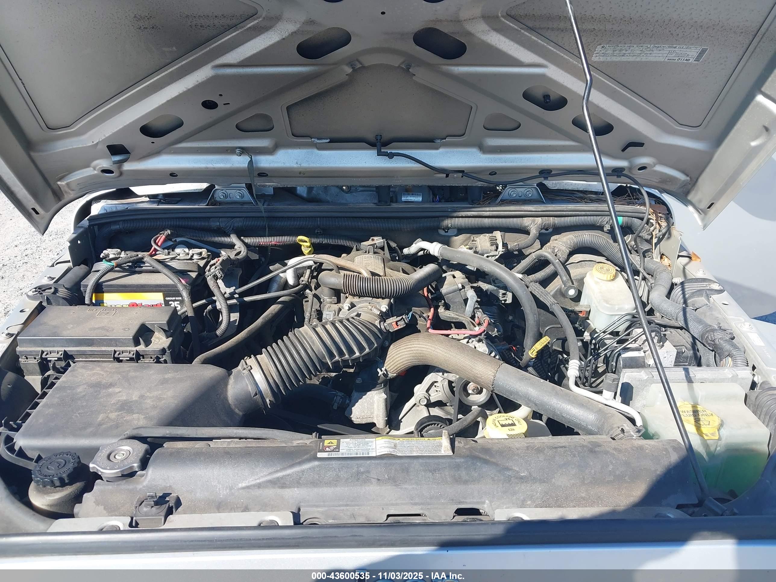 JEEP WRANGLER image 10