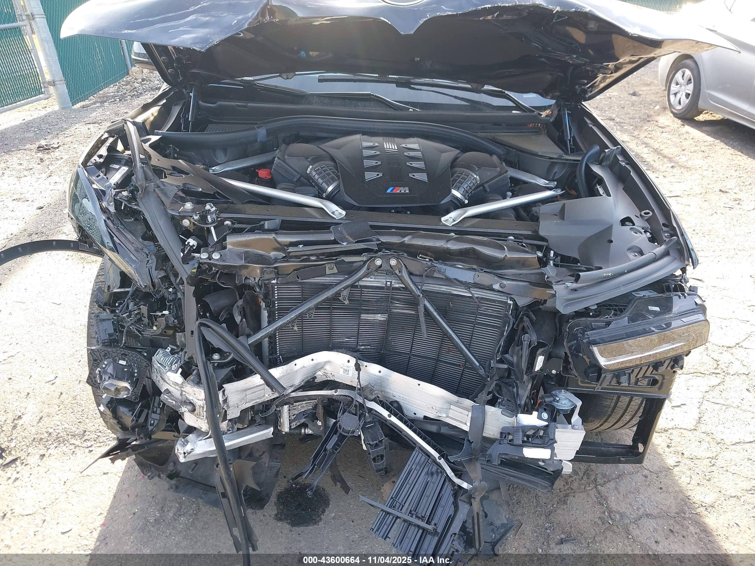BMW X7 image 10