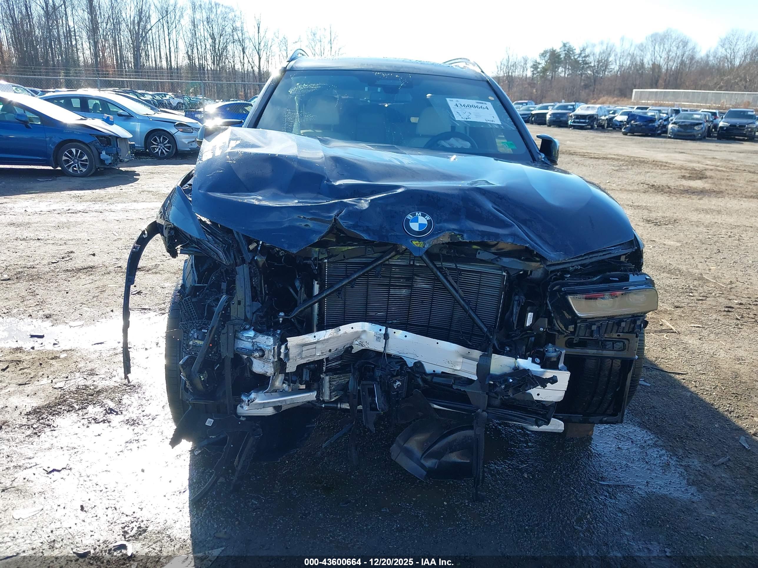 BMW X7 image 6