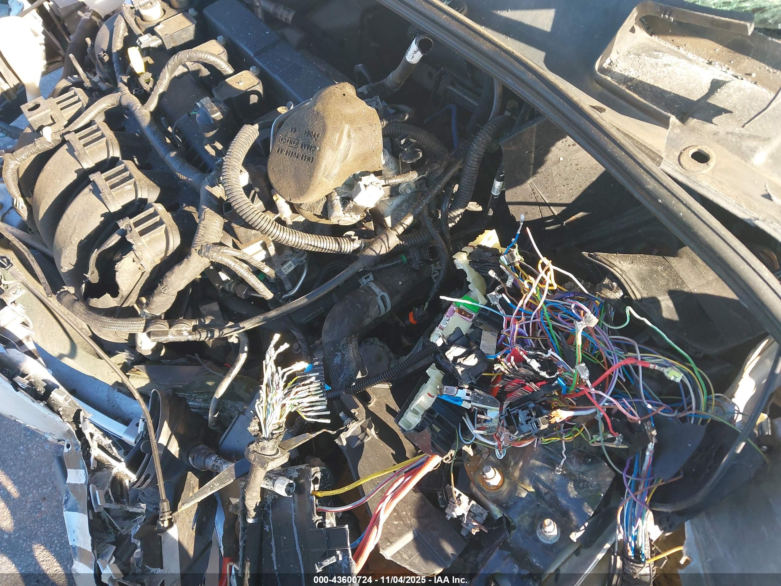 FORD FOCUS image 10