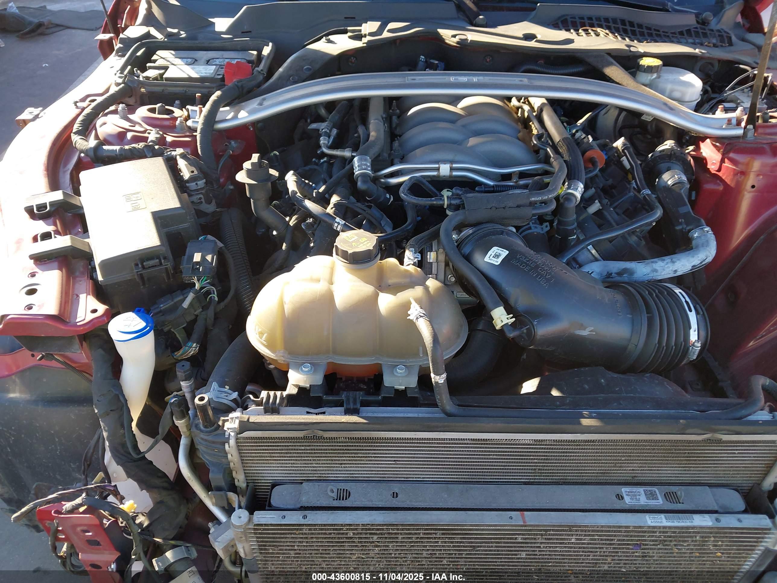 FORD MUSTANG image 10
