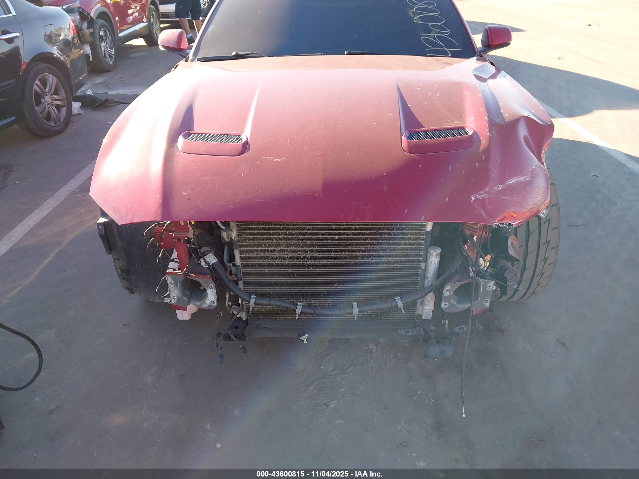 FORD MUSTANG image 6