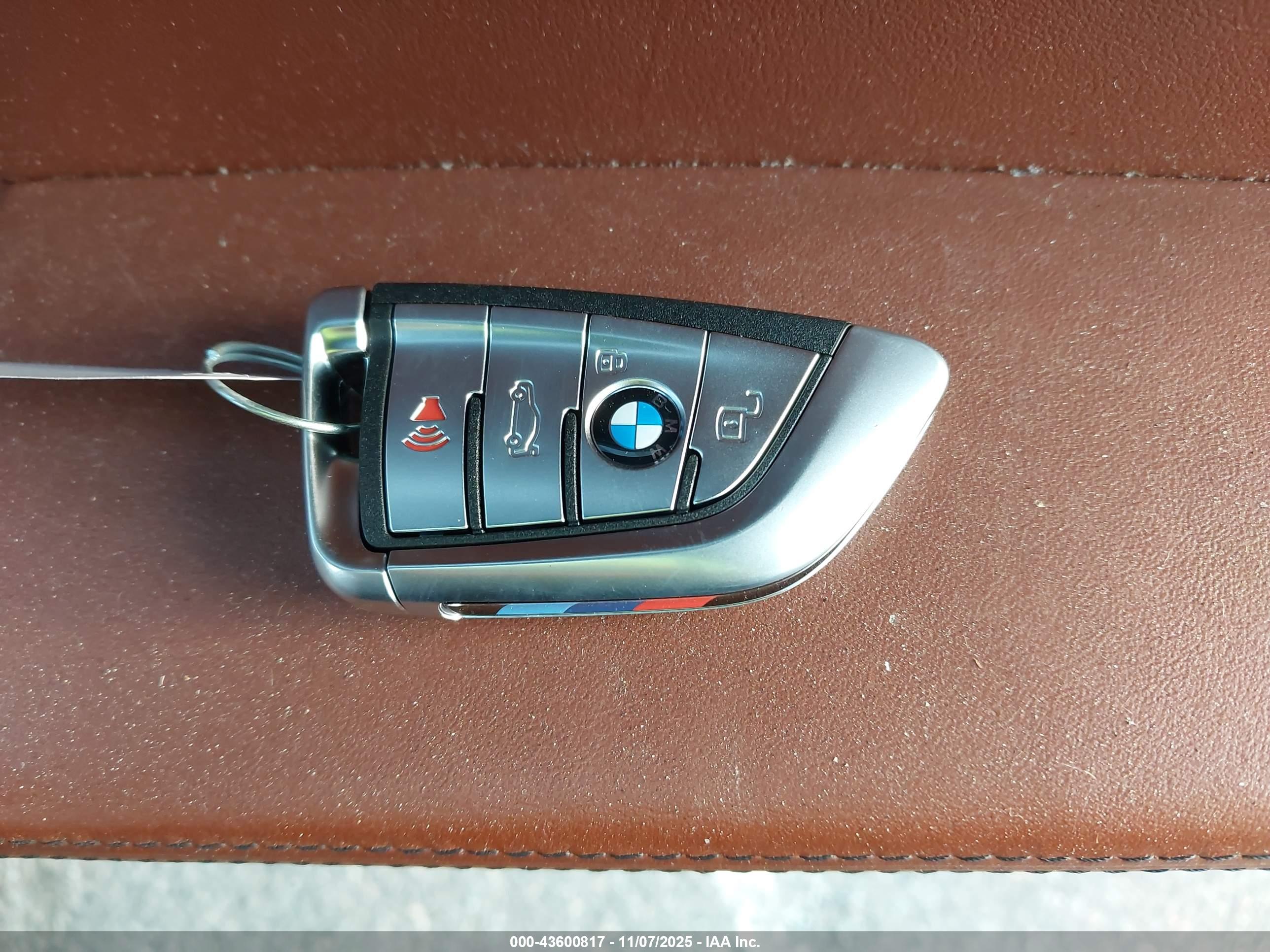 BMW X7 image 11