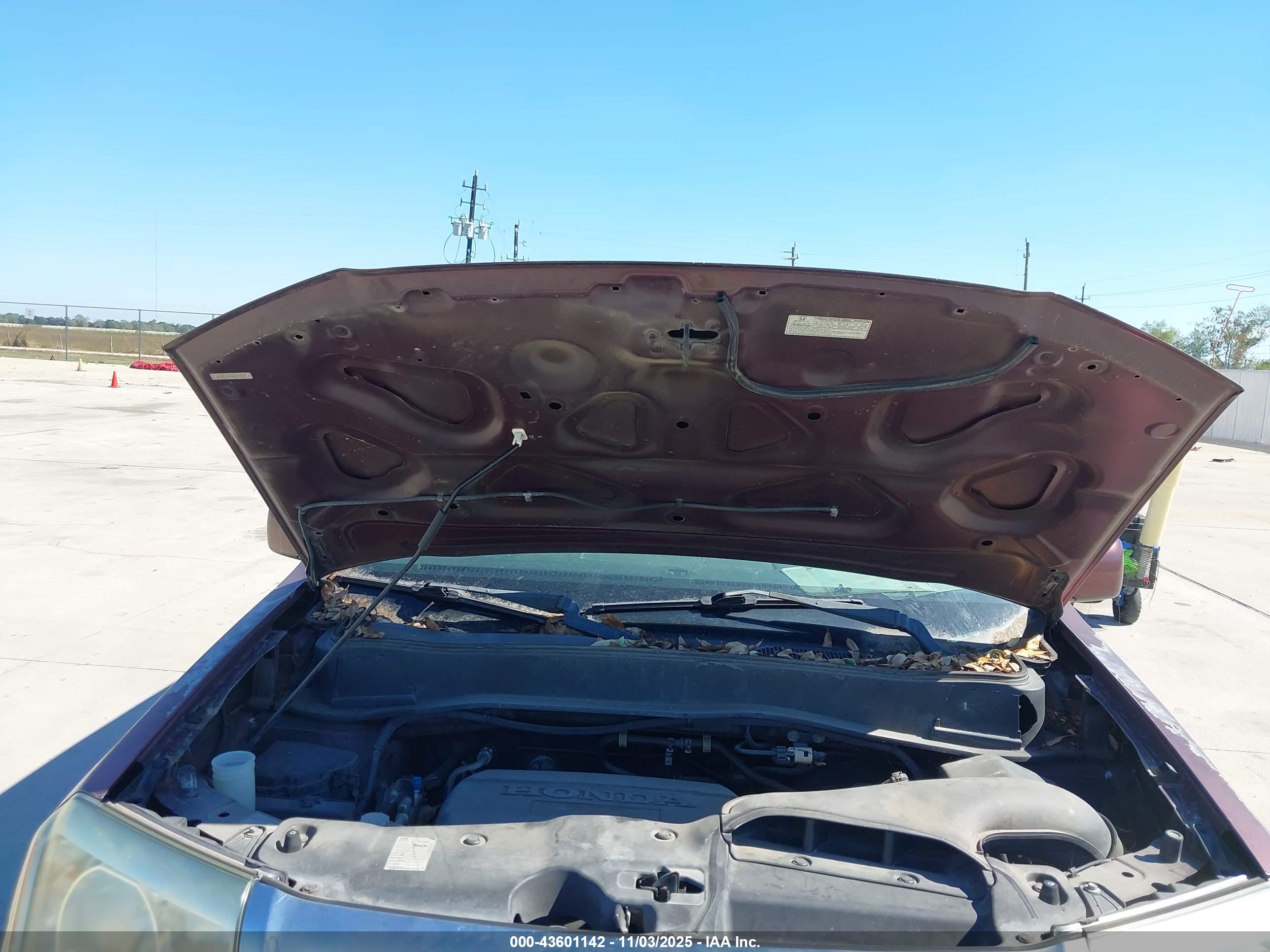 HONDA PILOT image 10