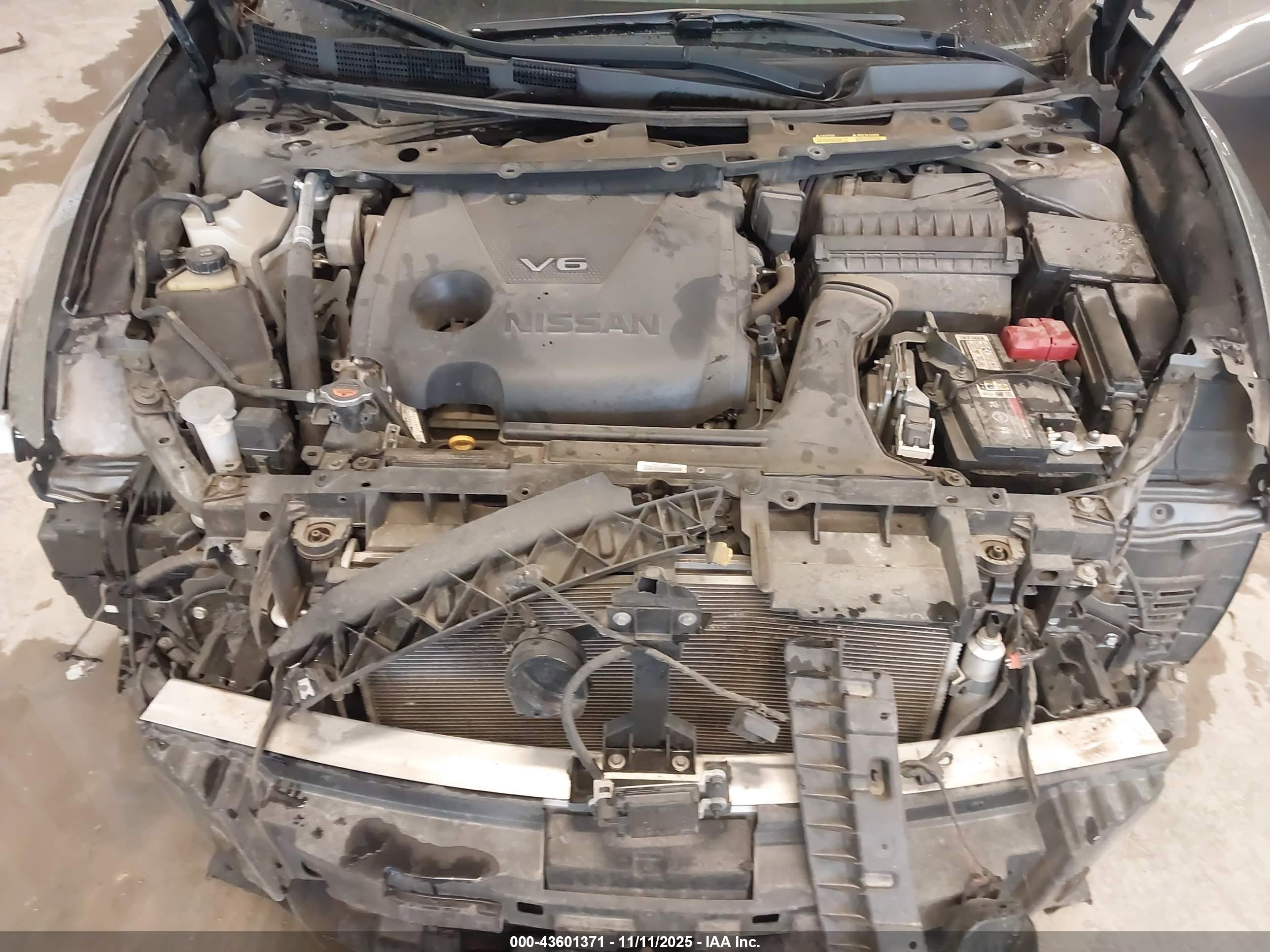 NISSAN MAXIMA image 10