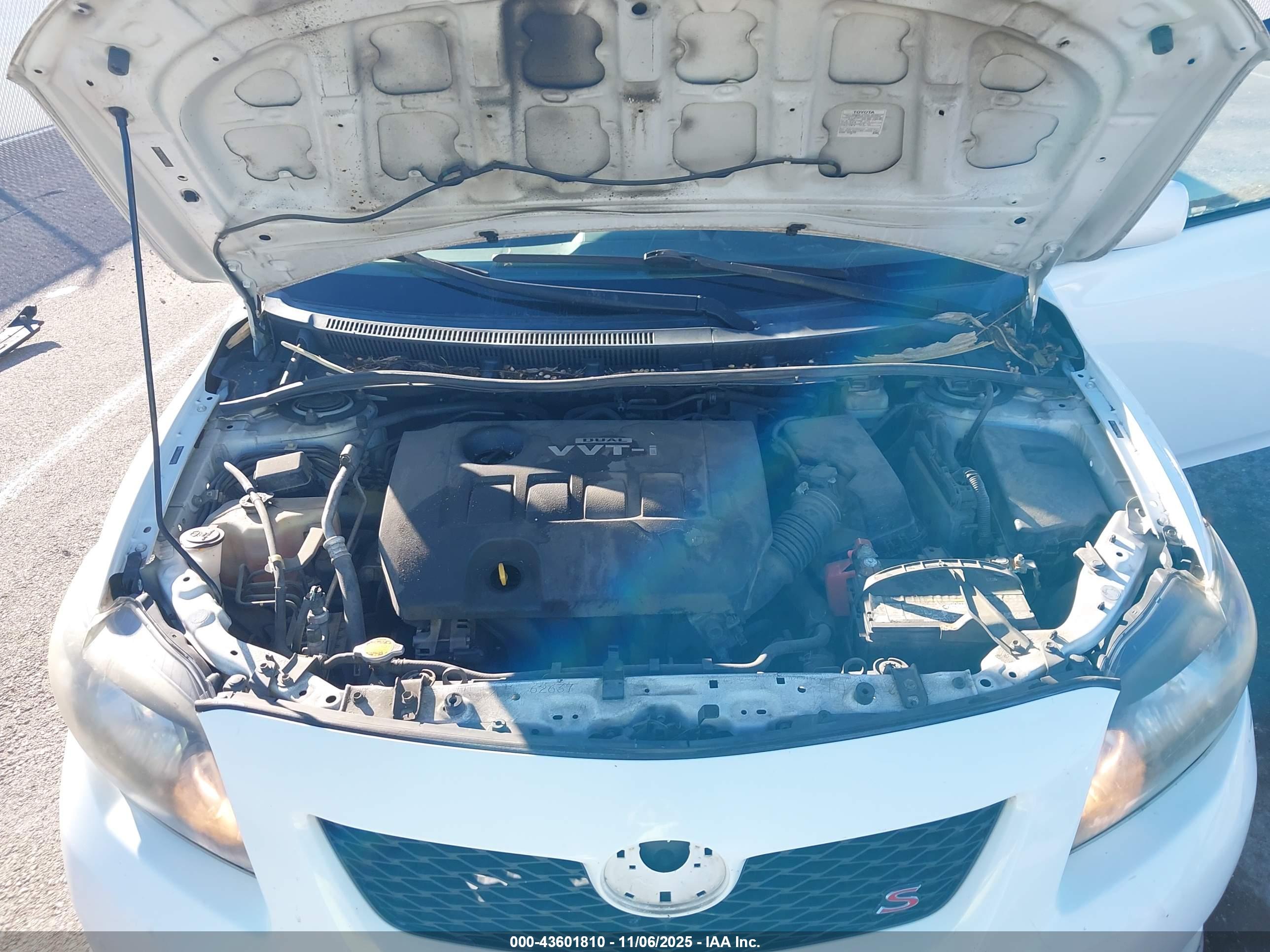 TOYOTA COROLLA image 10