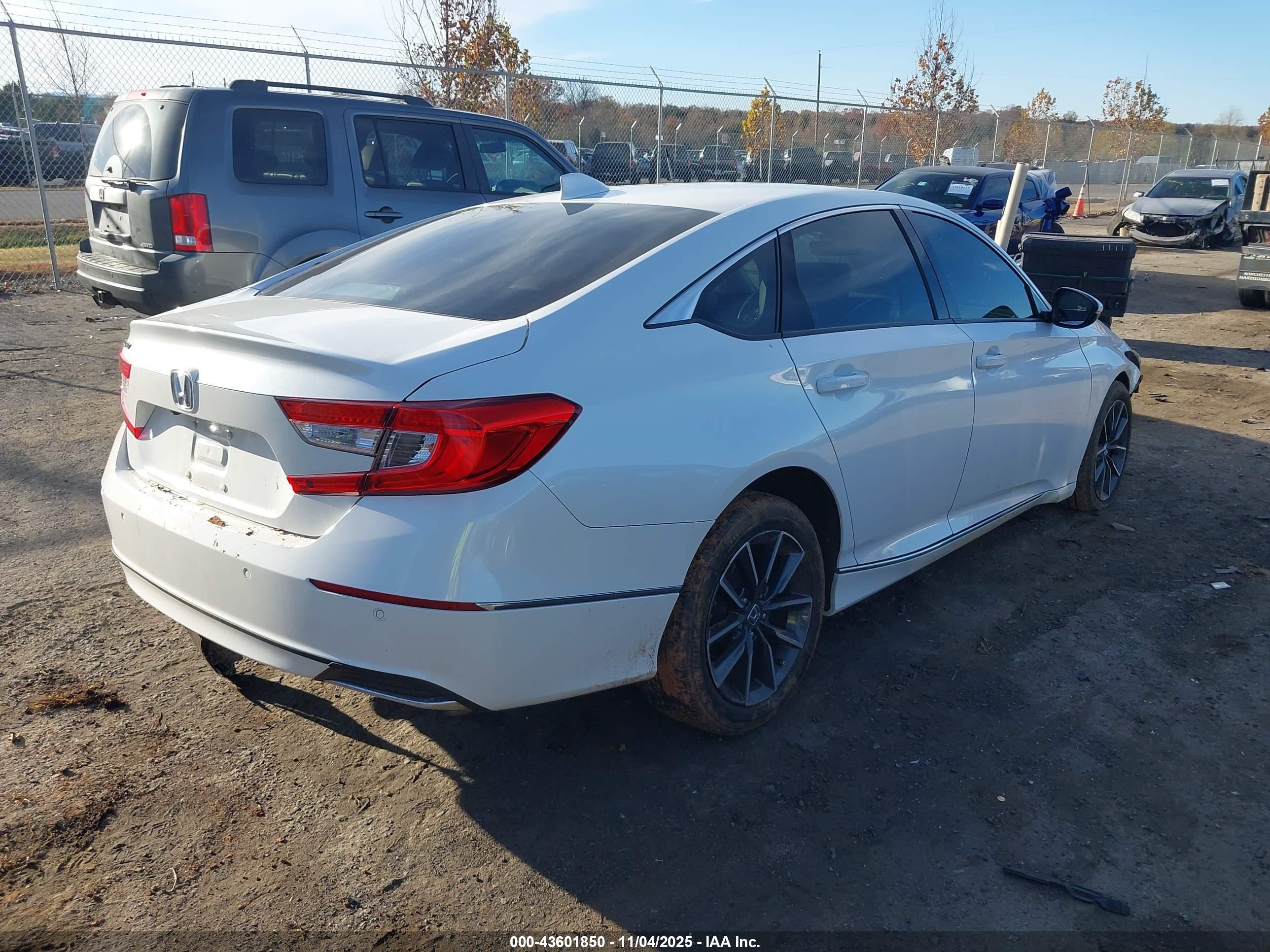 HONDA ACCORD image 4