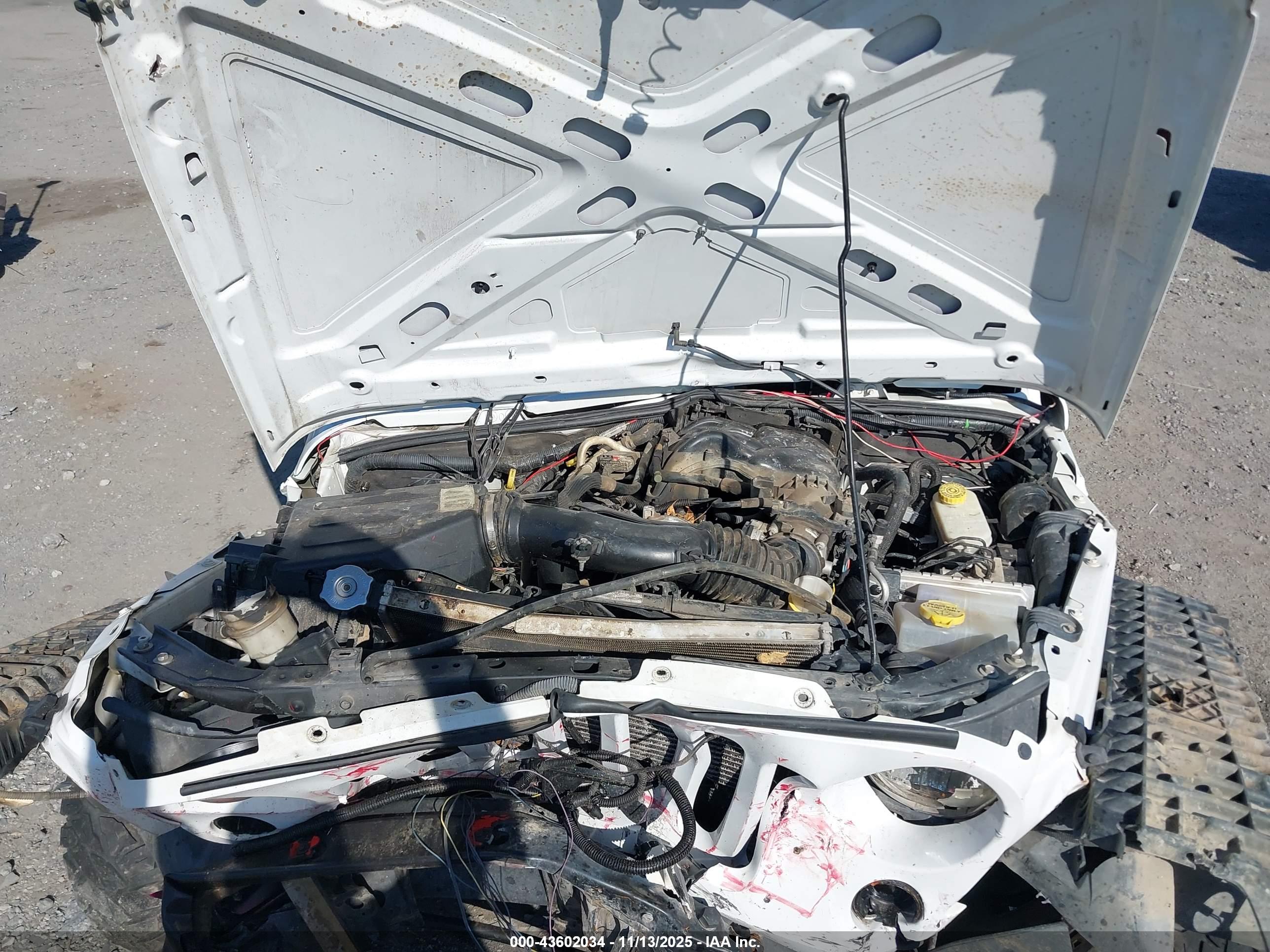JEEP WRANGLER image 10