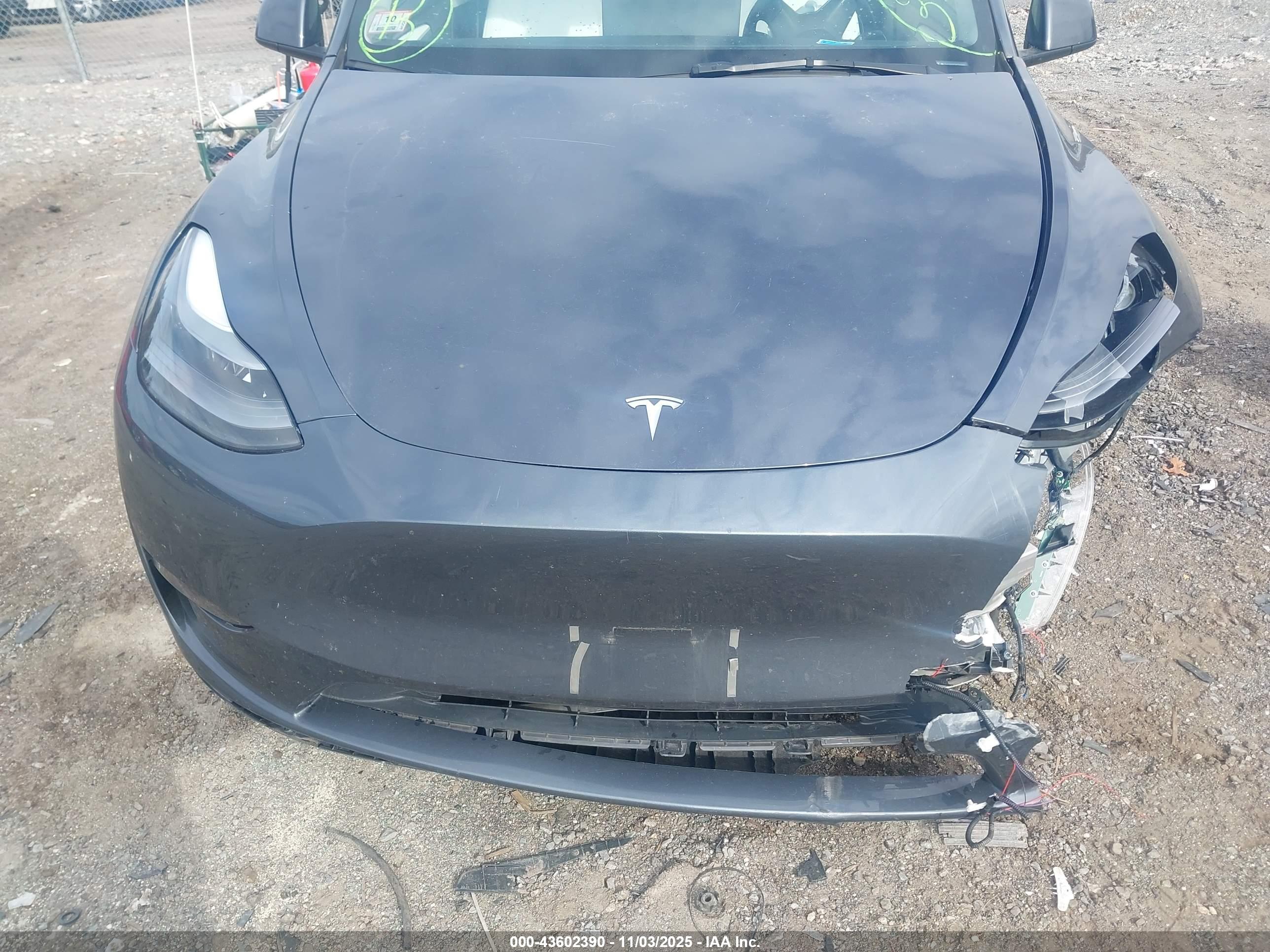 TESLA MODEL image 10