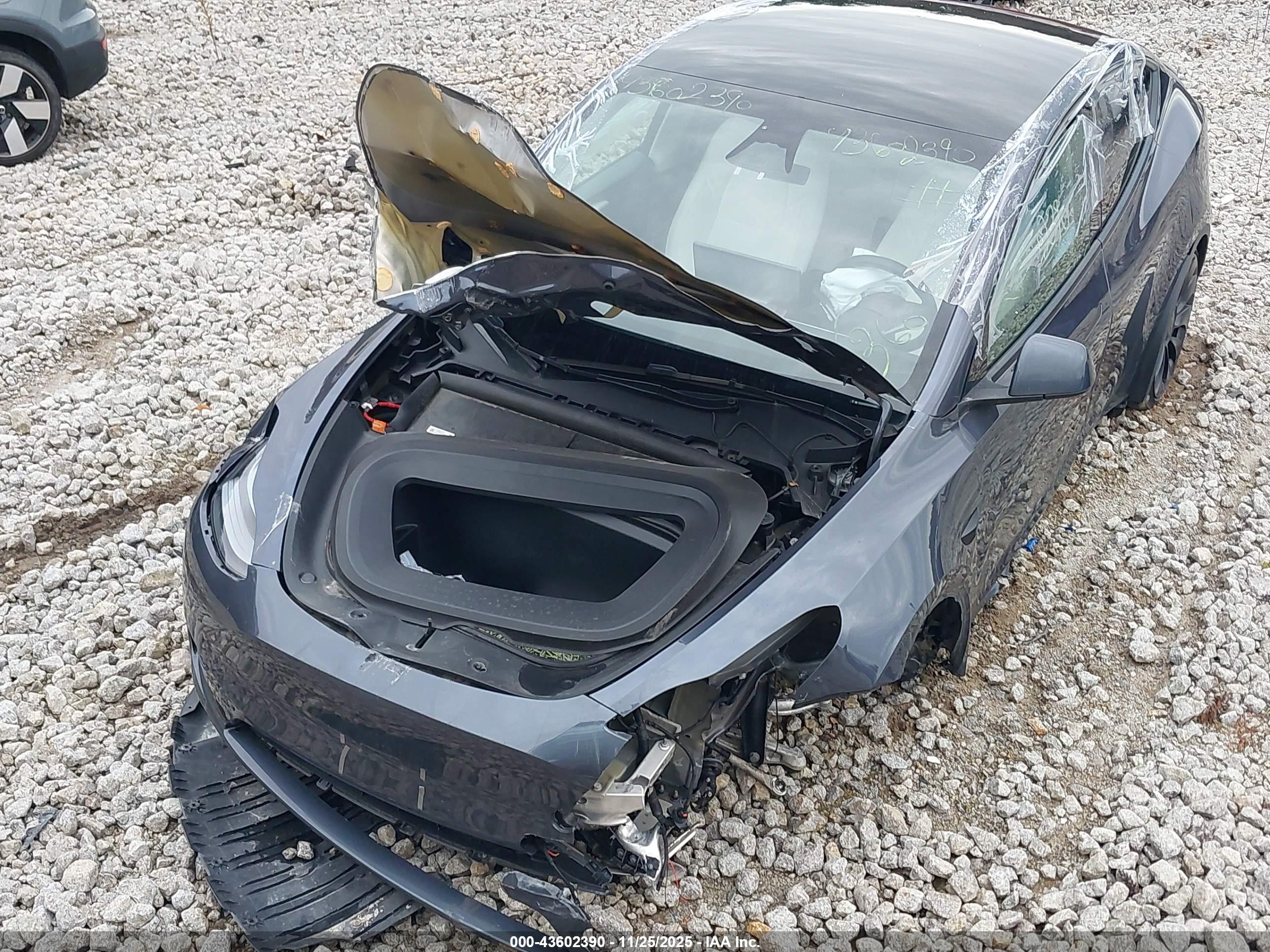 TESLA MODEL image 6