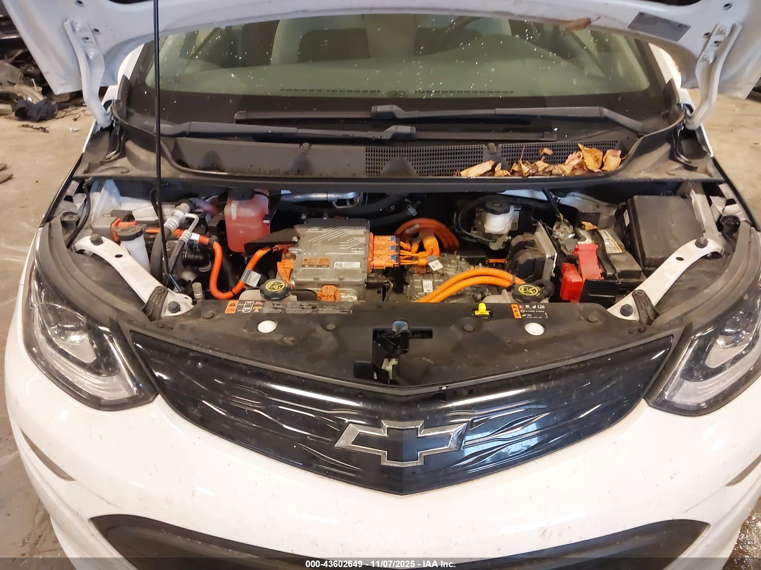 CHEVROLET BOLT image 10