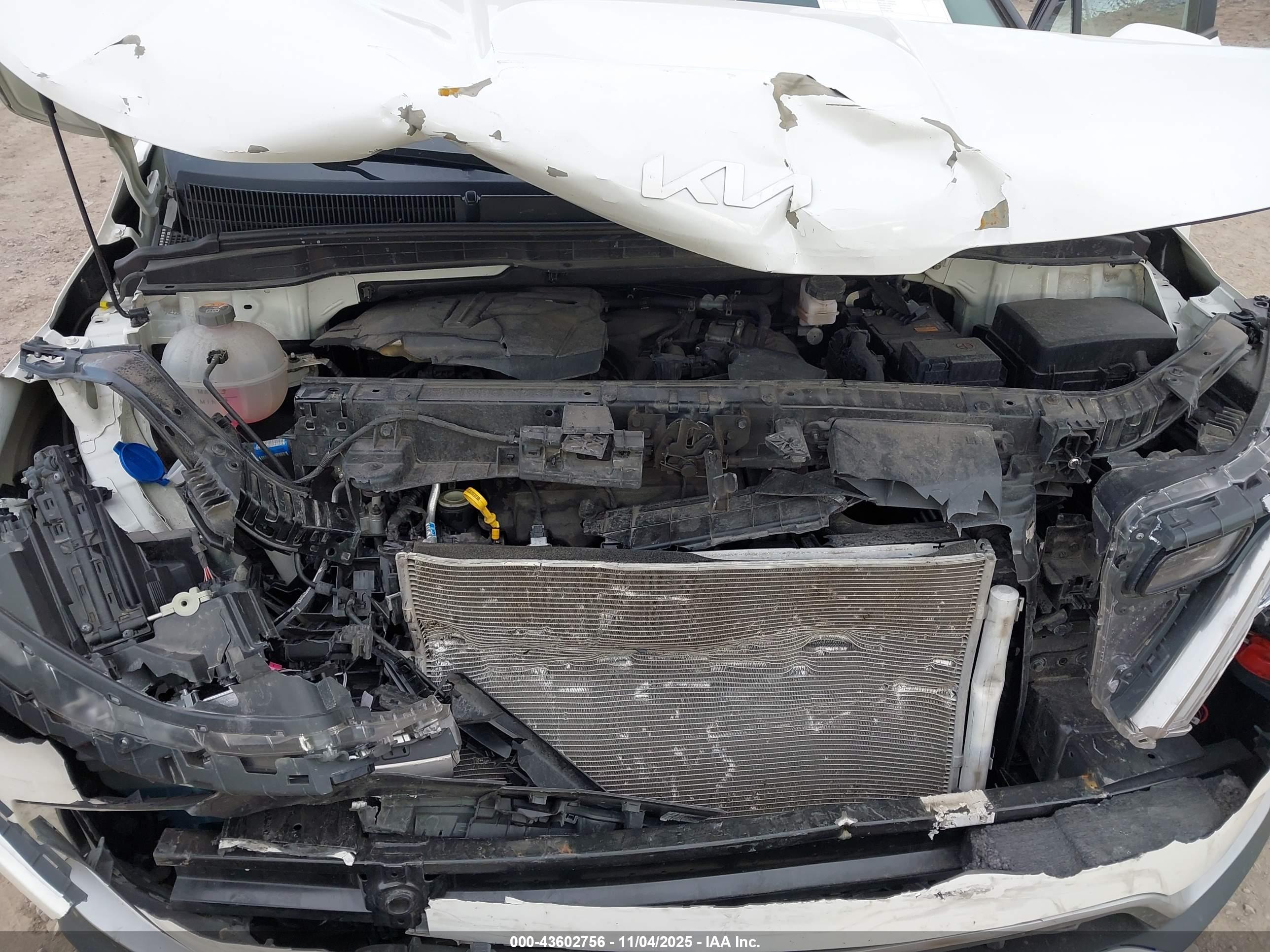 KIA CARNIVAL image 10