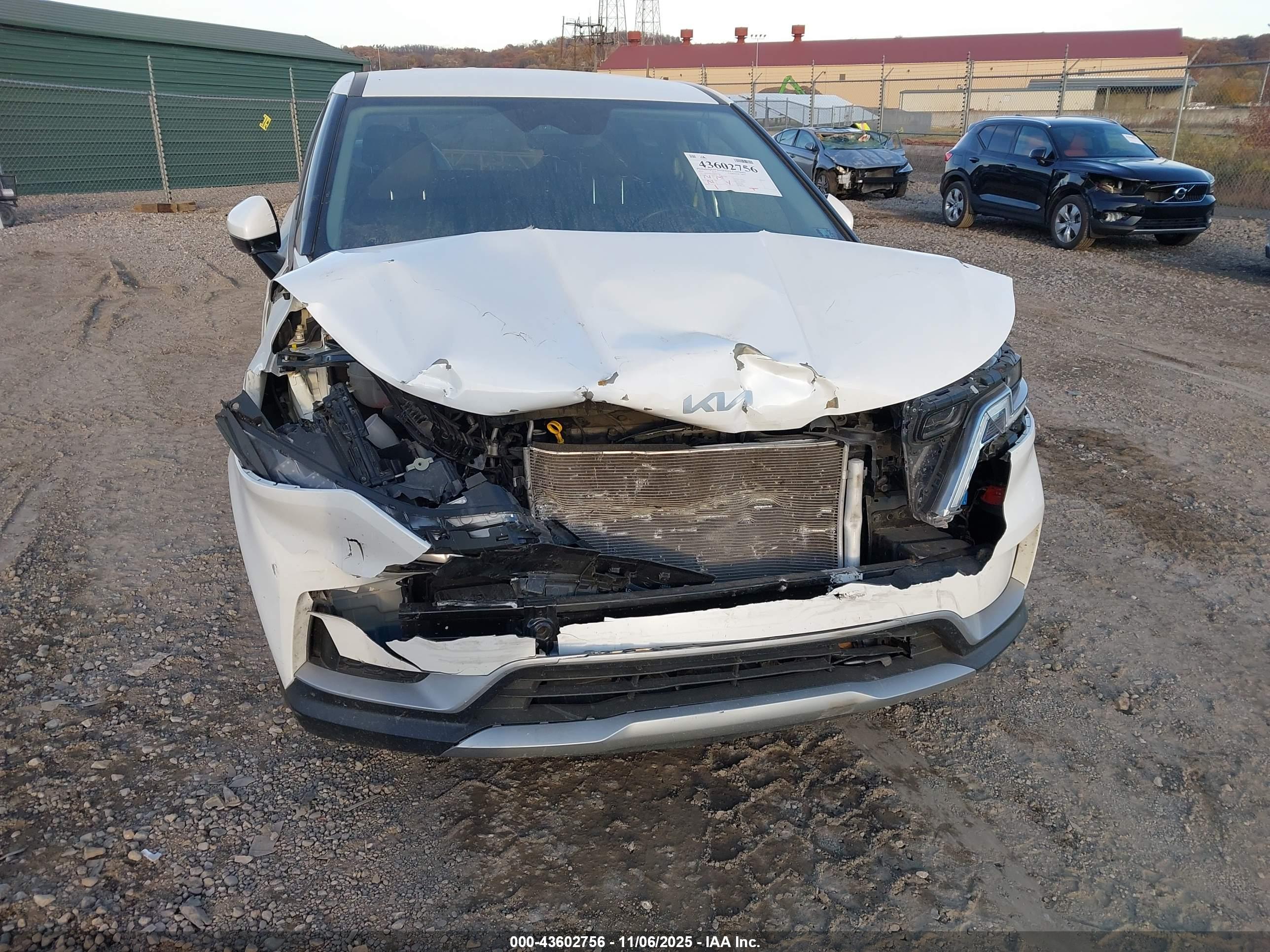 KIA CARNIVAL image 6
