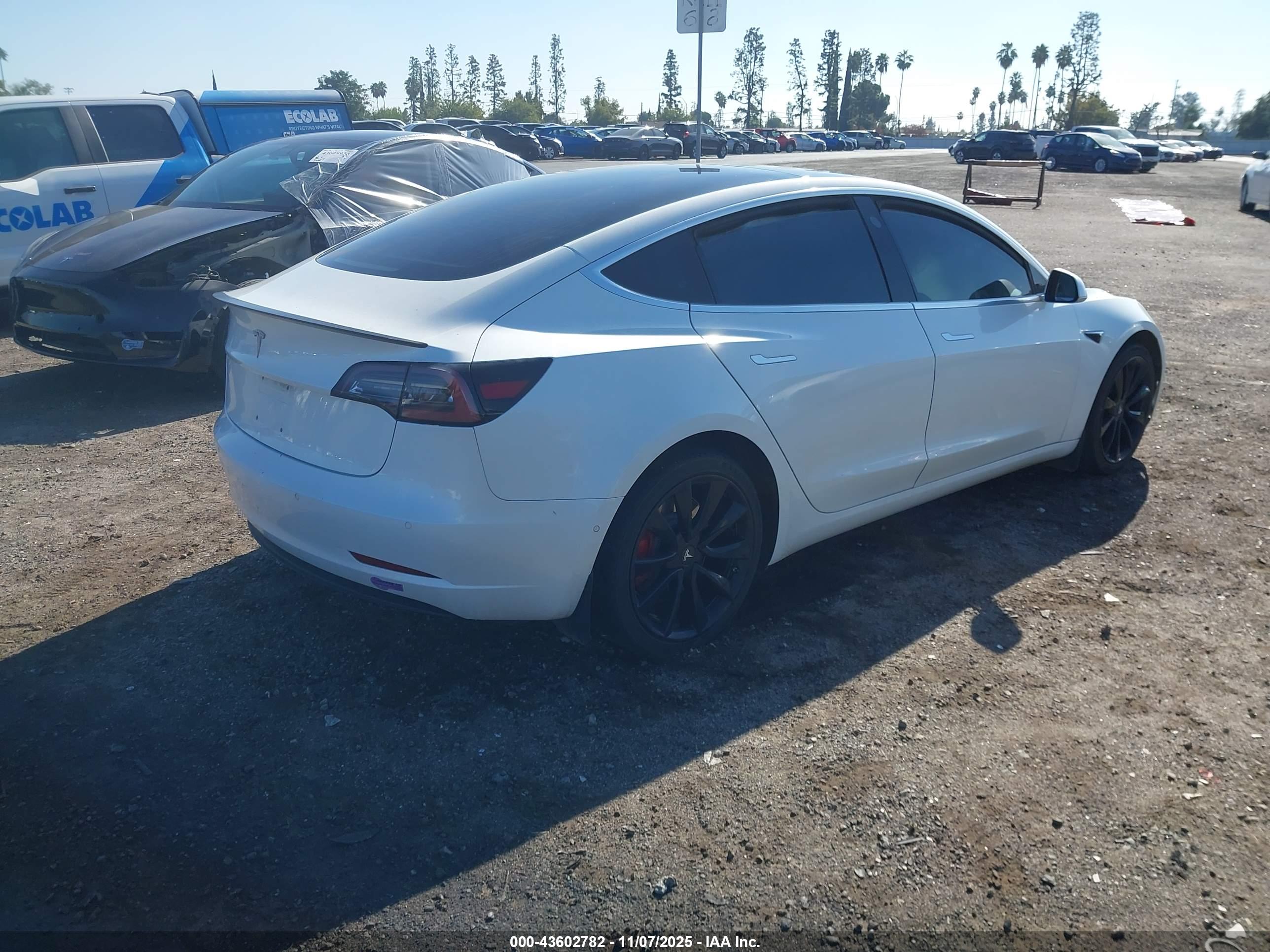 TESLA MODEL image 4