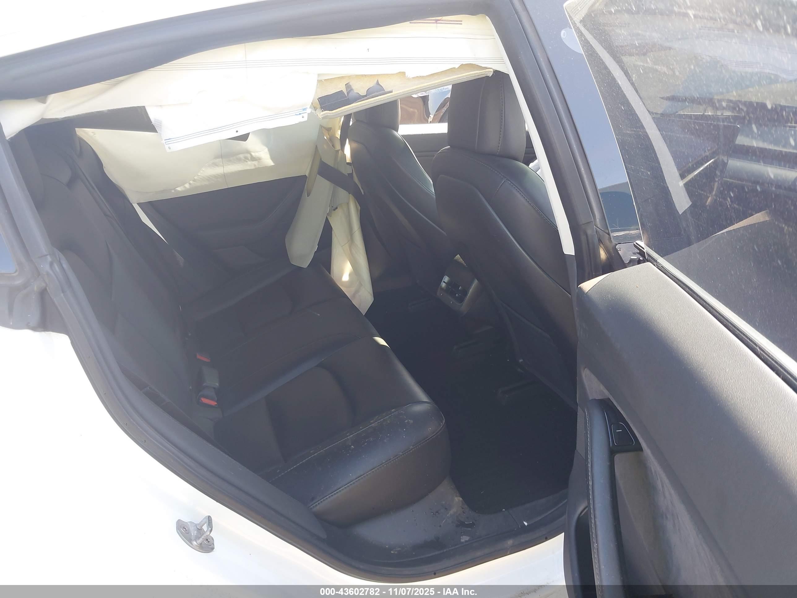TESLA MODEL image 8