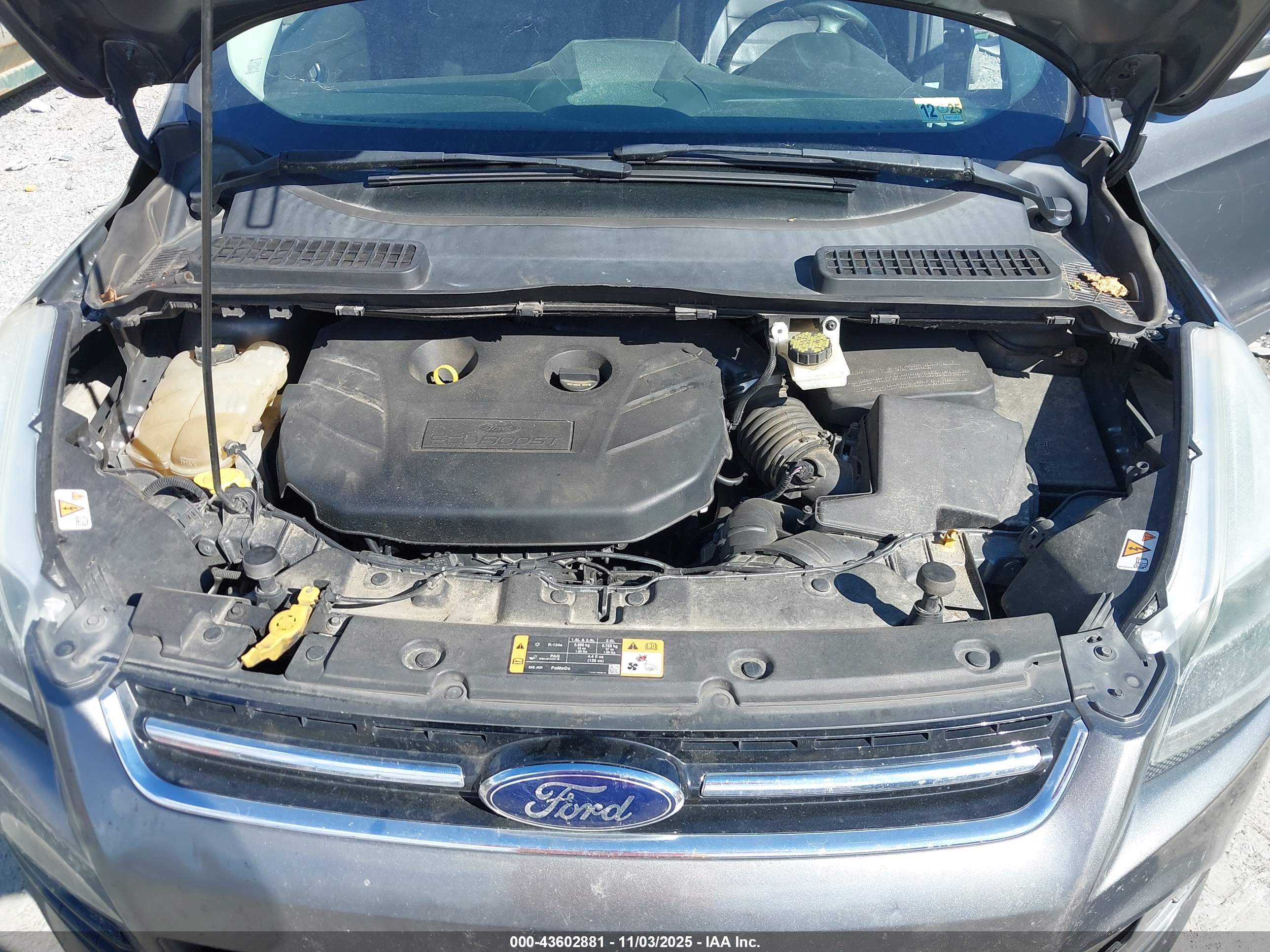 FORD ESCAPE image 10