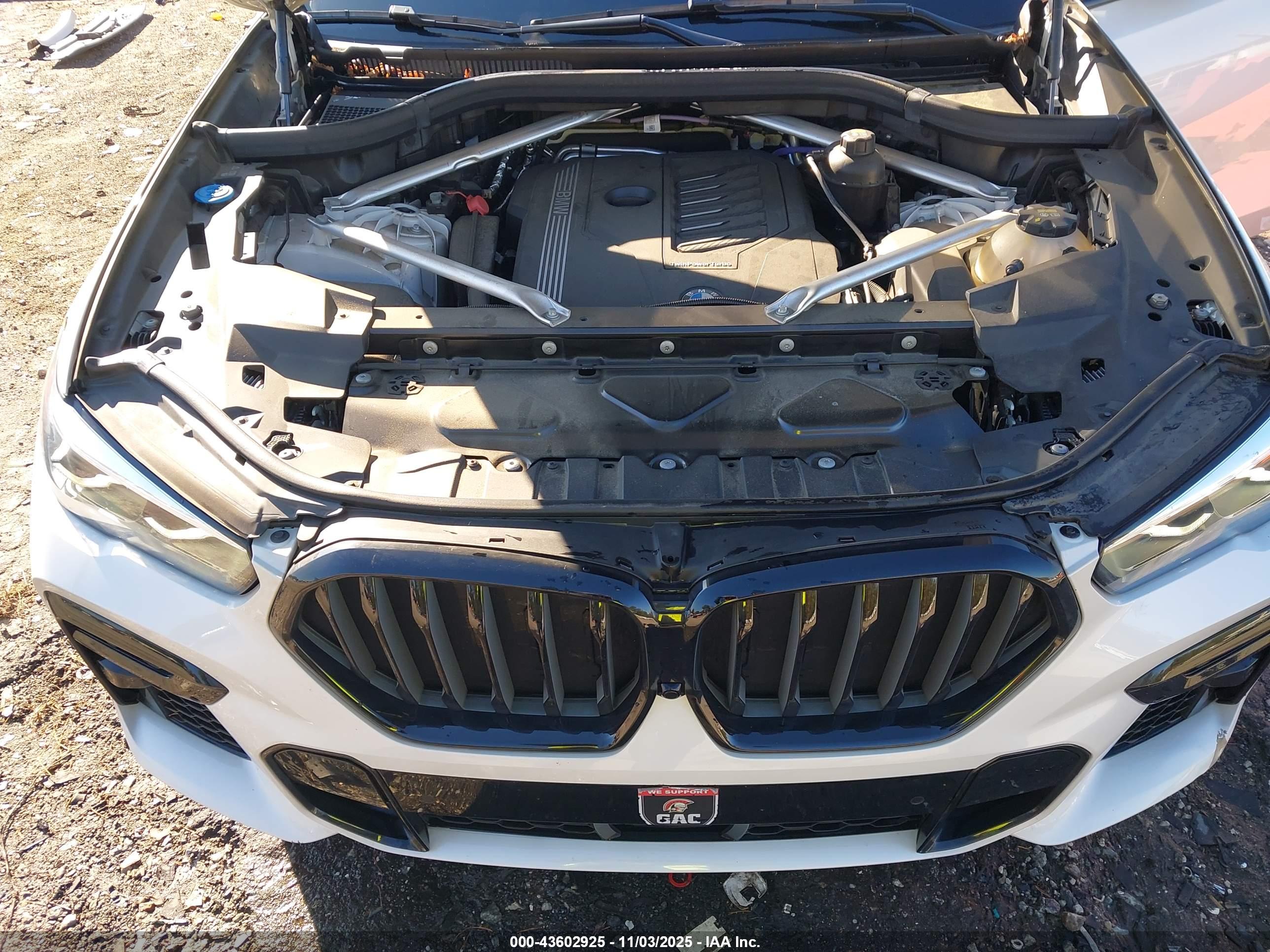 BMW X6 image 10