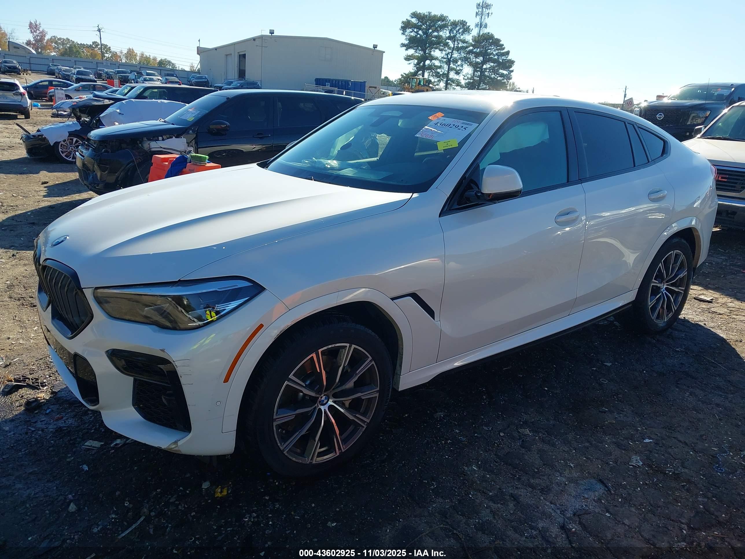 BMW X6 image 2