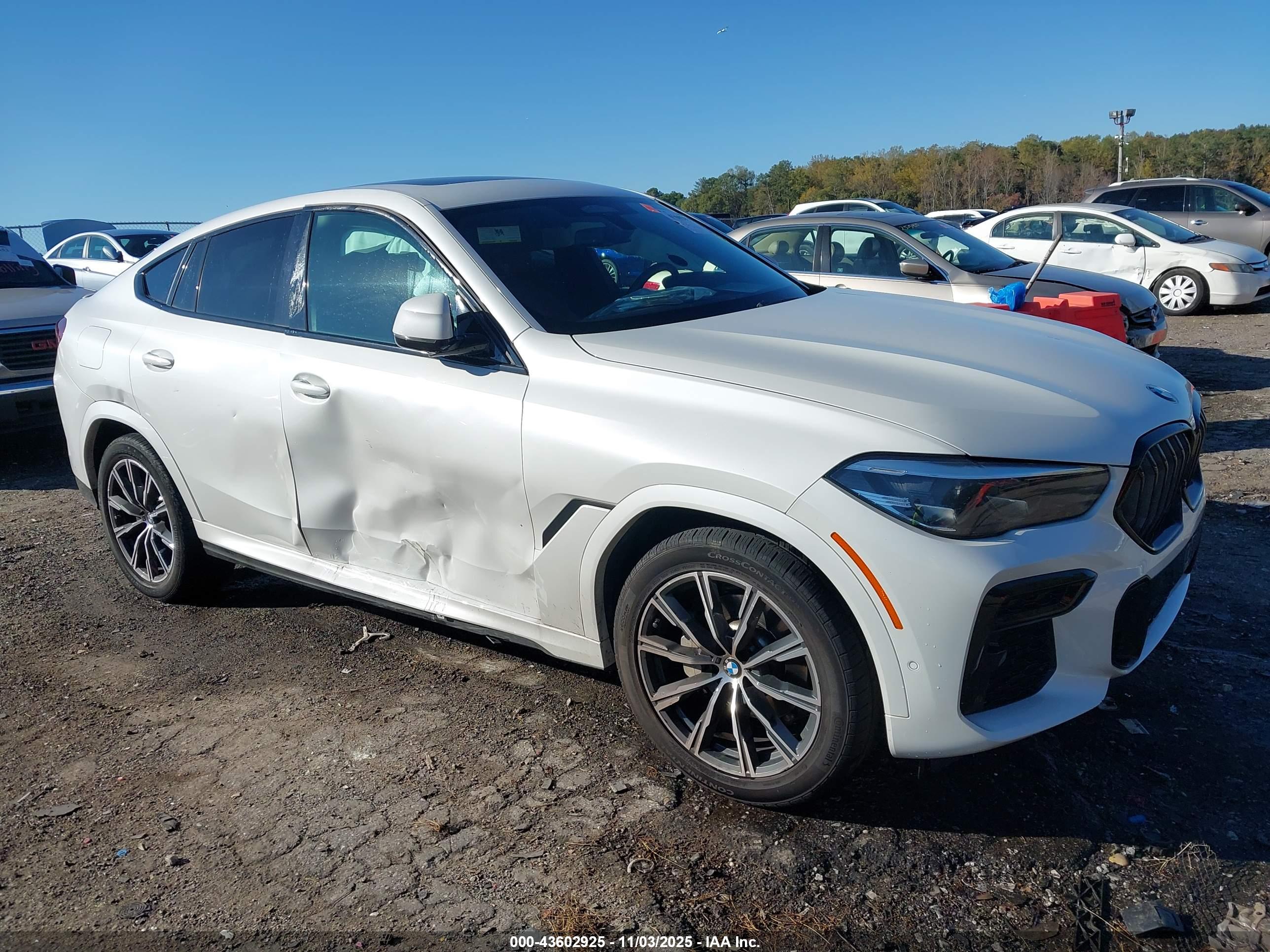 BMW X6 image 6