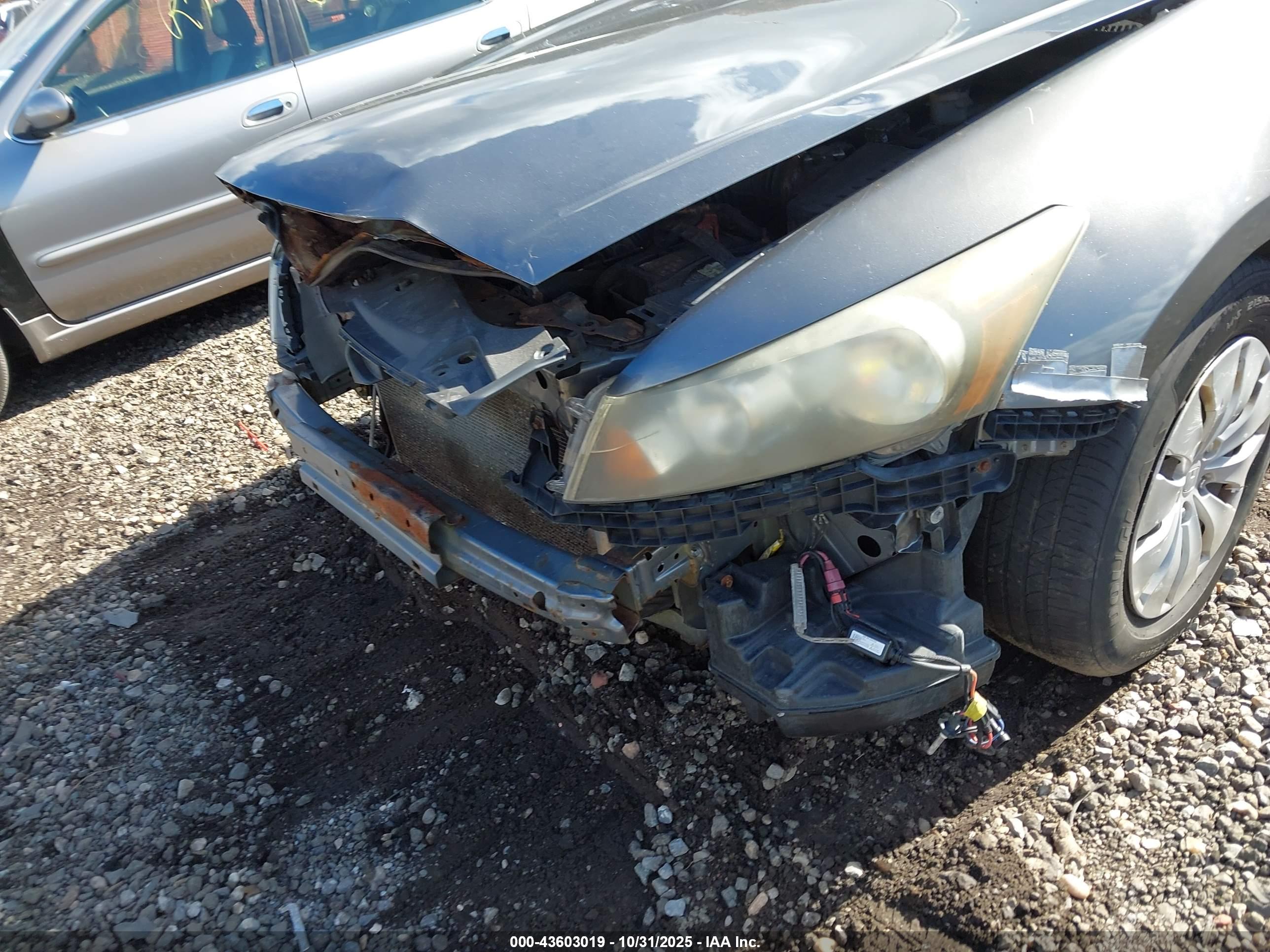 HONDA ACCORD image 6
