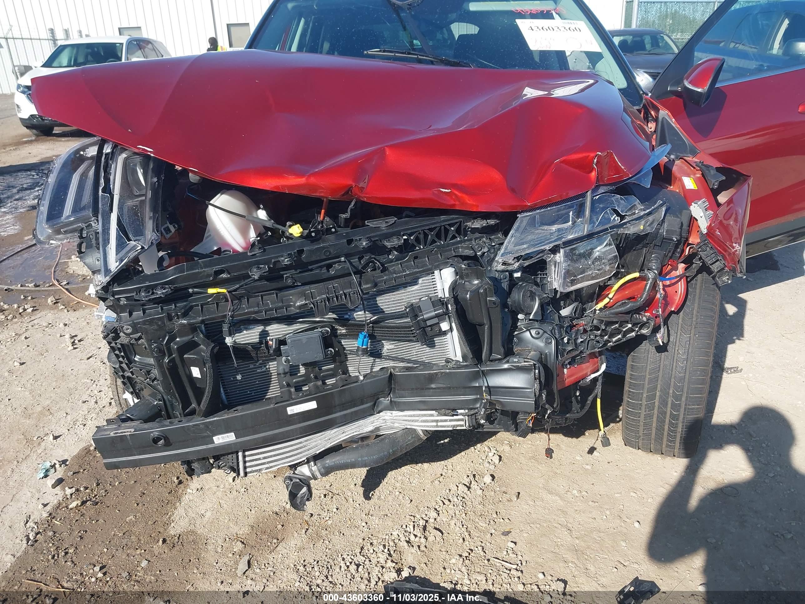 KIA SELTOS image 6