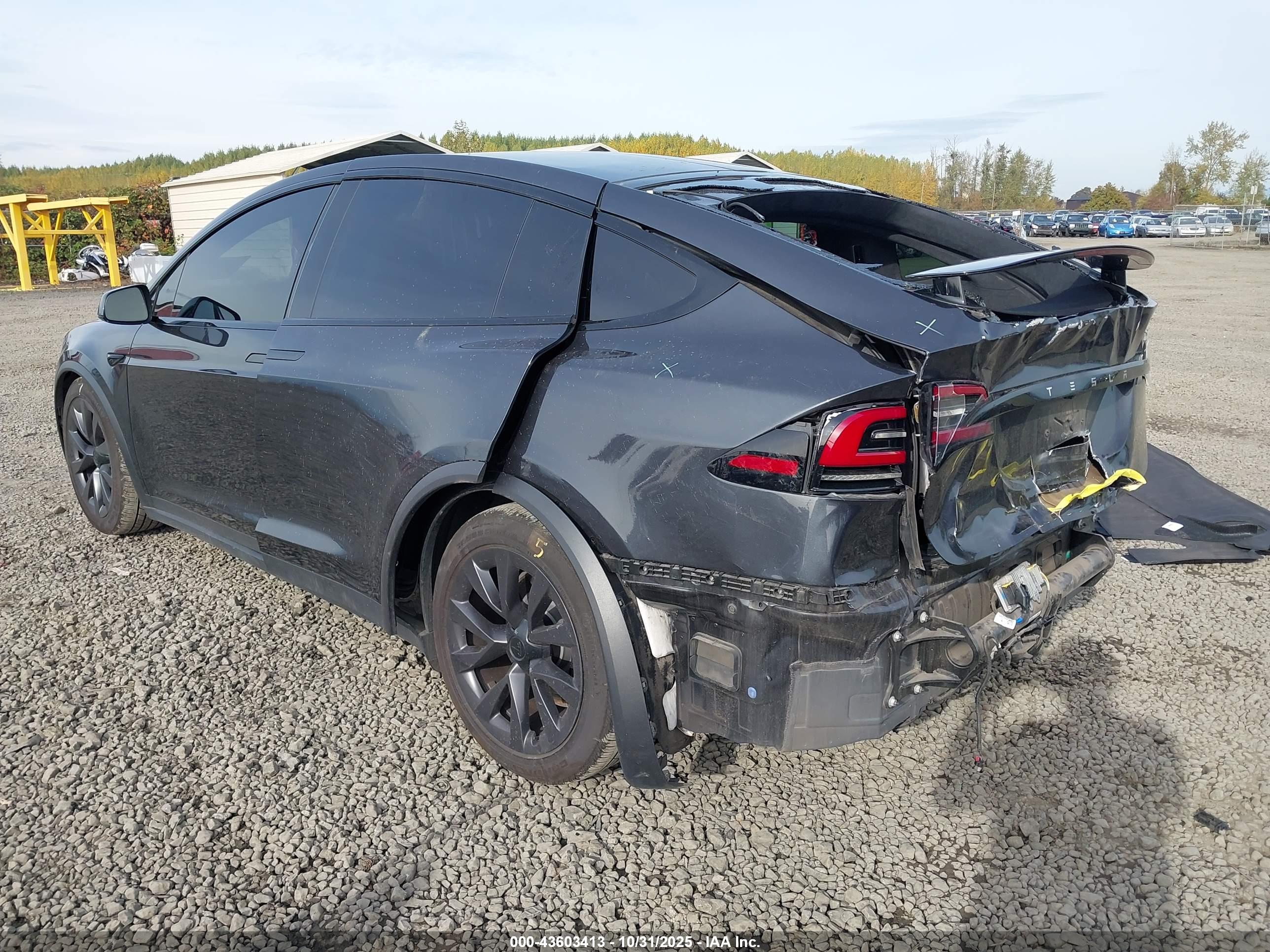 TESLA MODEL image 3