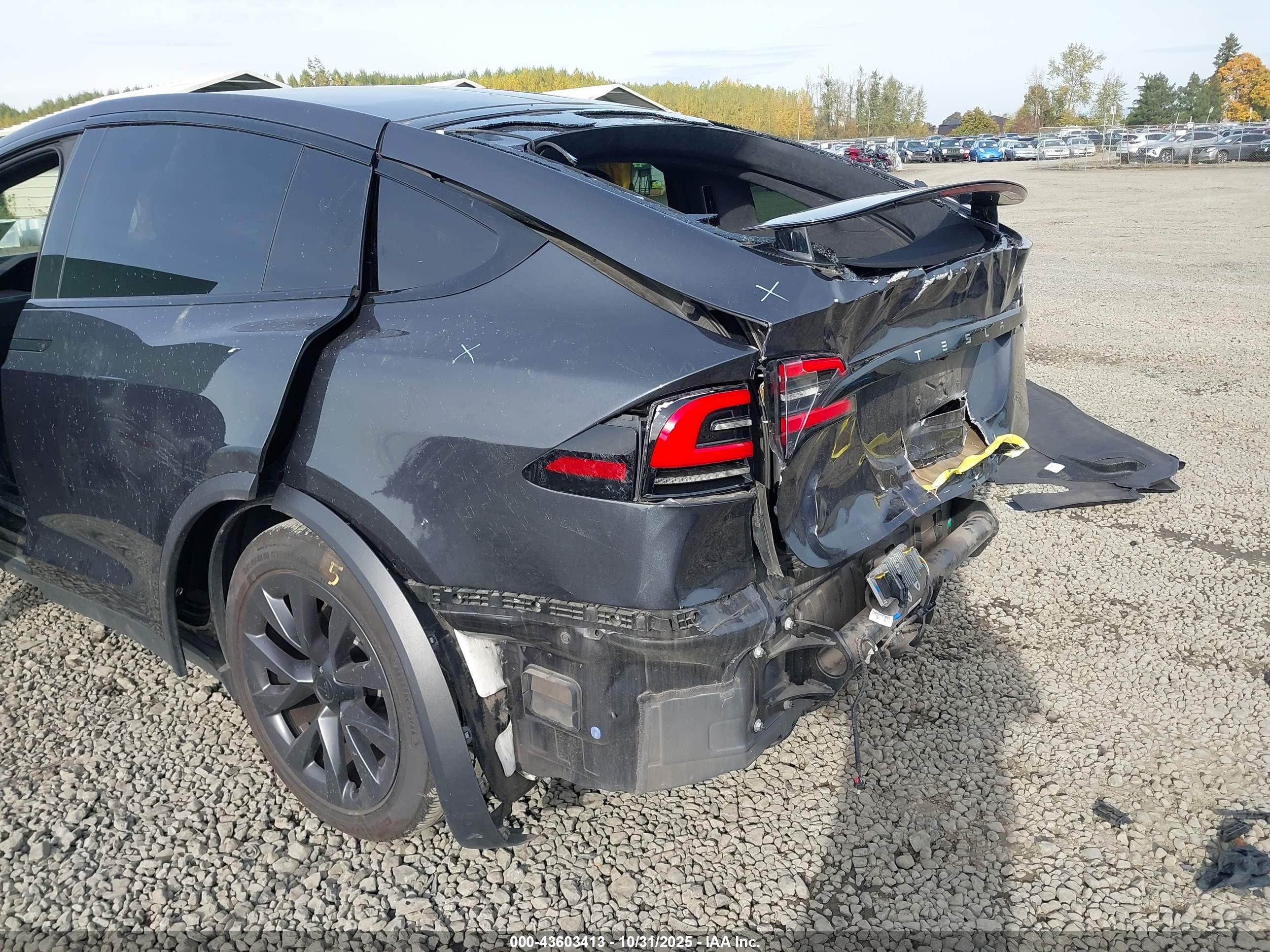 TESLA MODEL image 6