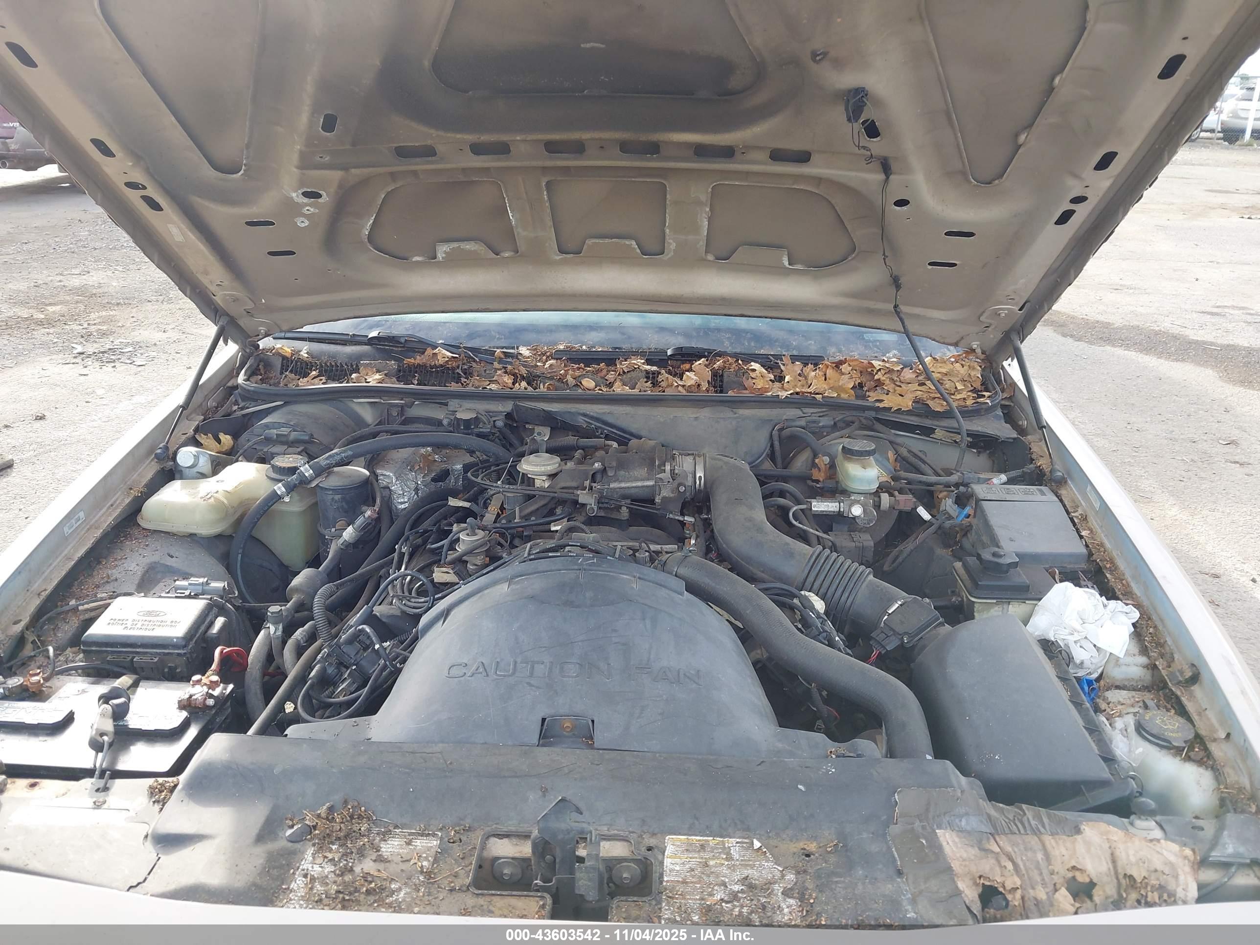 FORD CROWN image 10