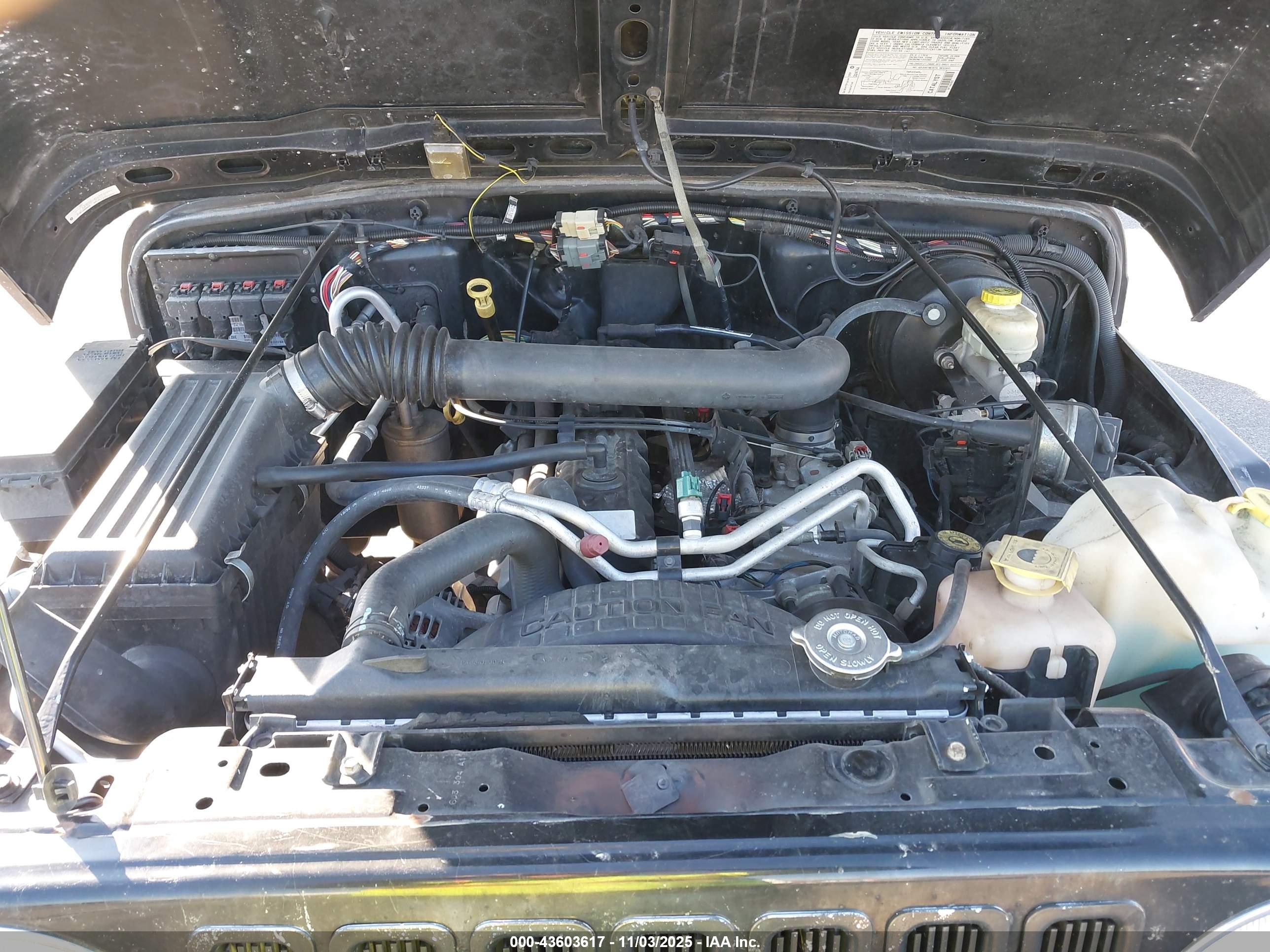 JEEP WRANGLER image 10