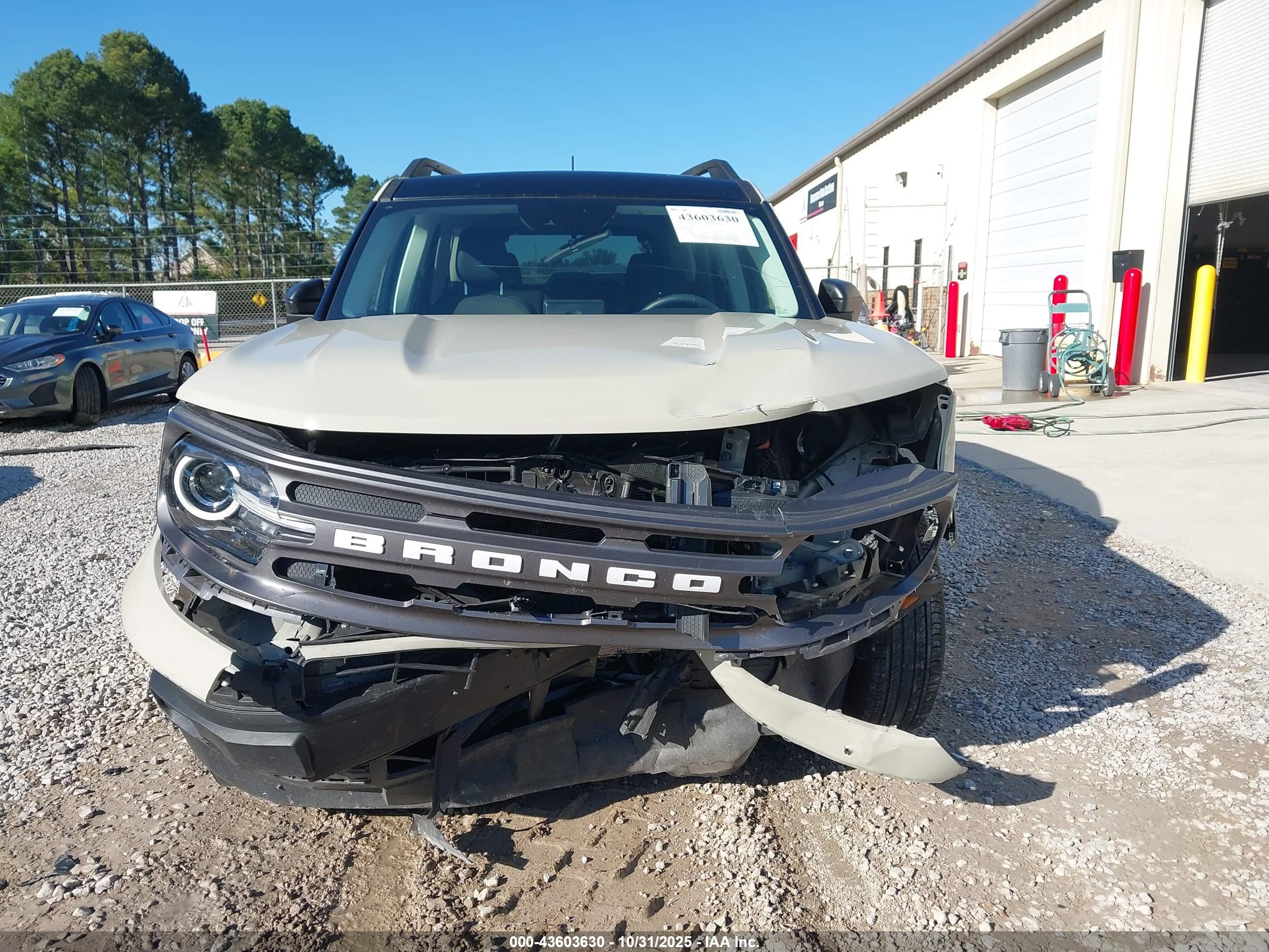 FORD BRONCO image 6