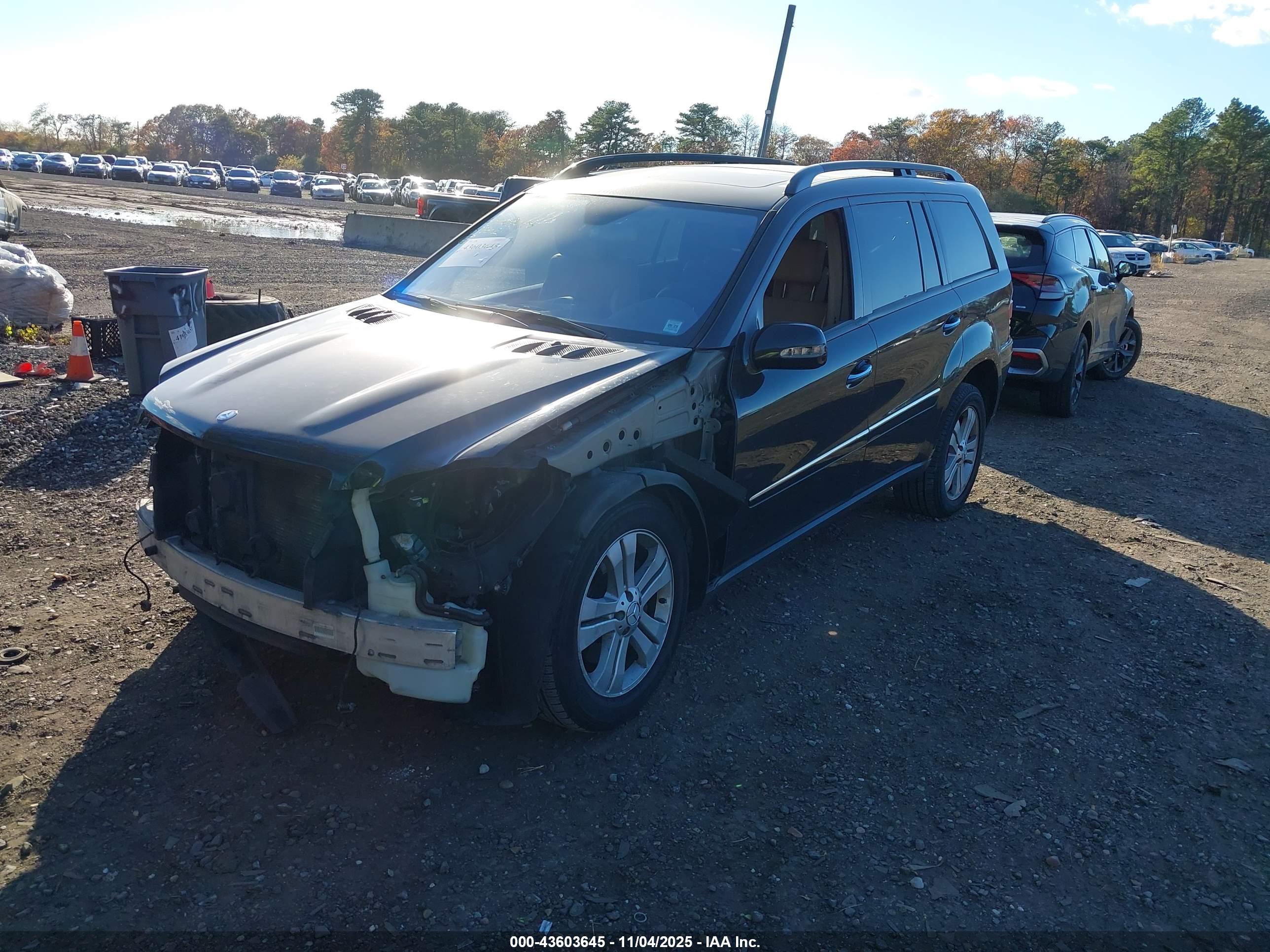 MERCEDES-BENZ GL image 2