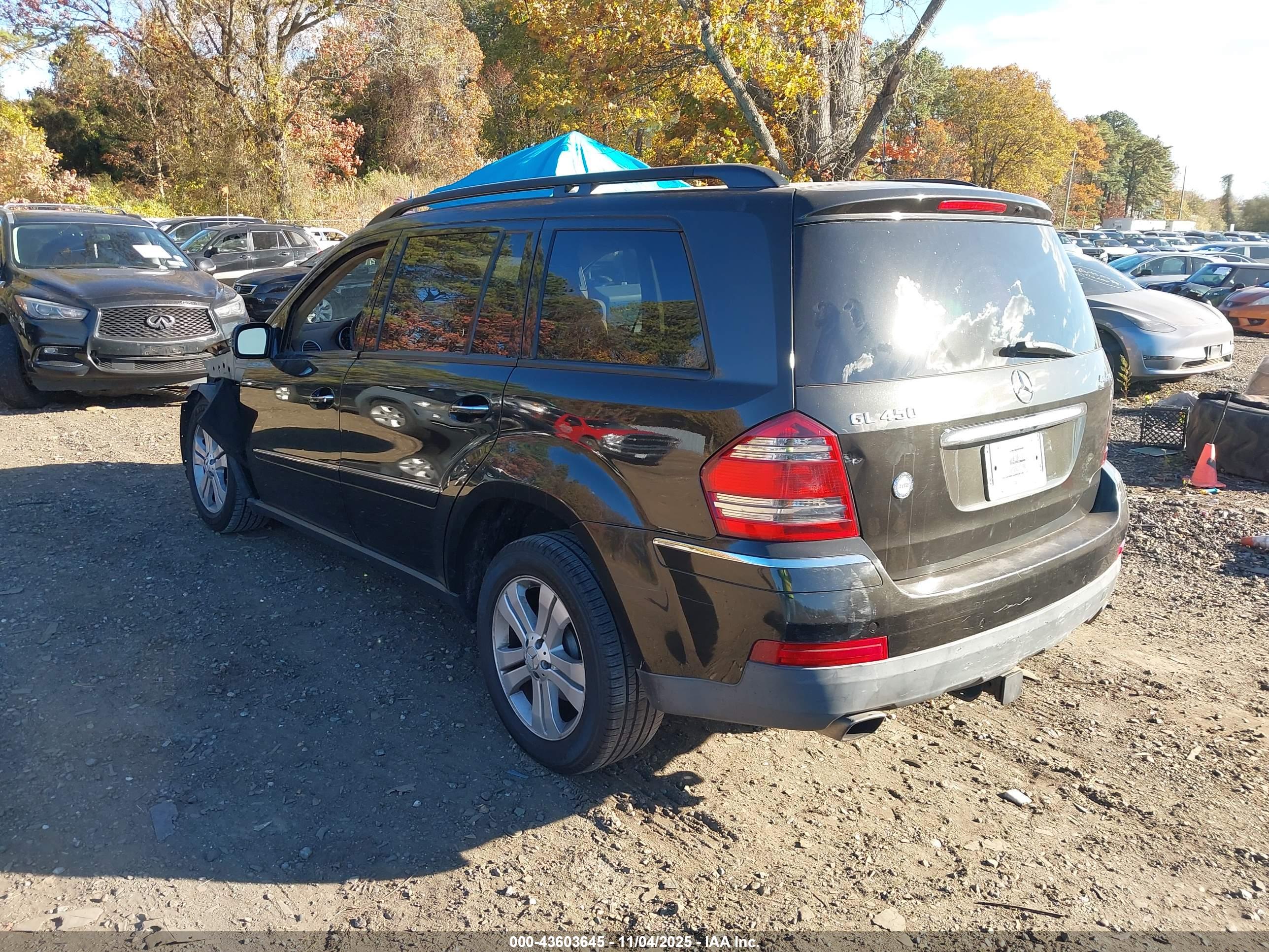 MERCEDES-BENZ GL image 3