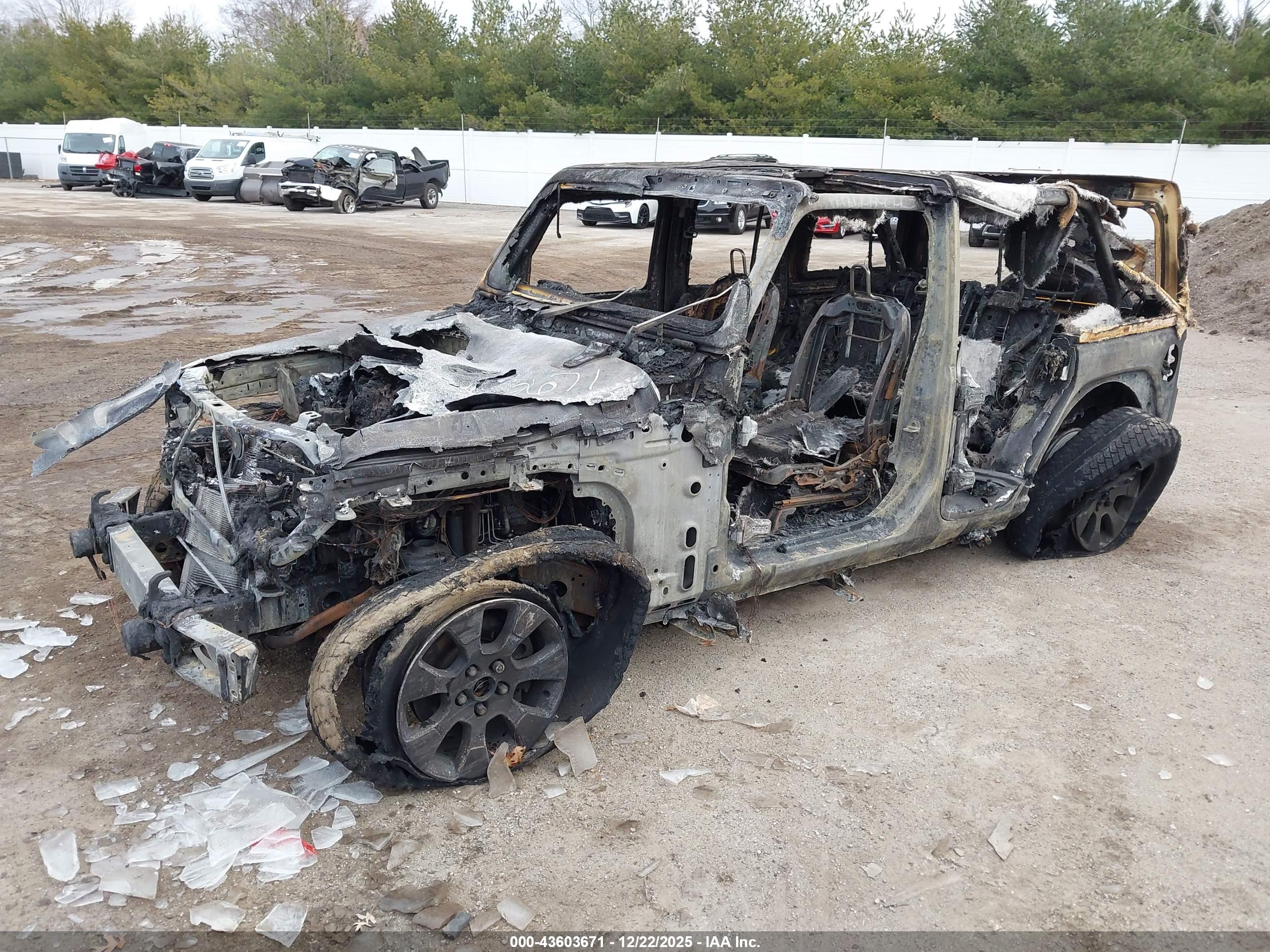 JEEP WRANGLER image 2