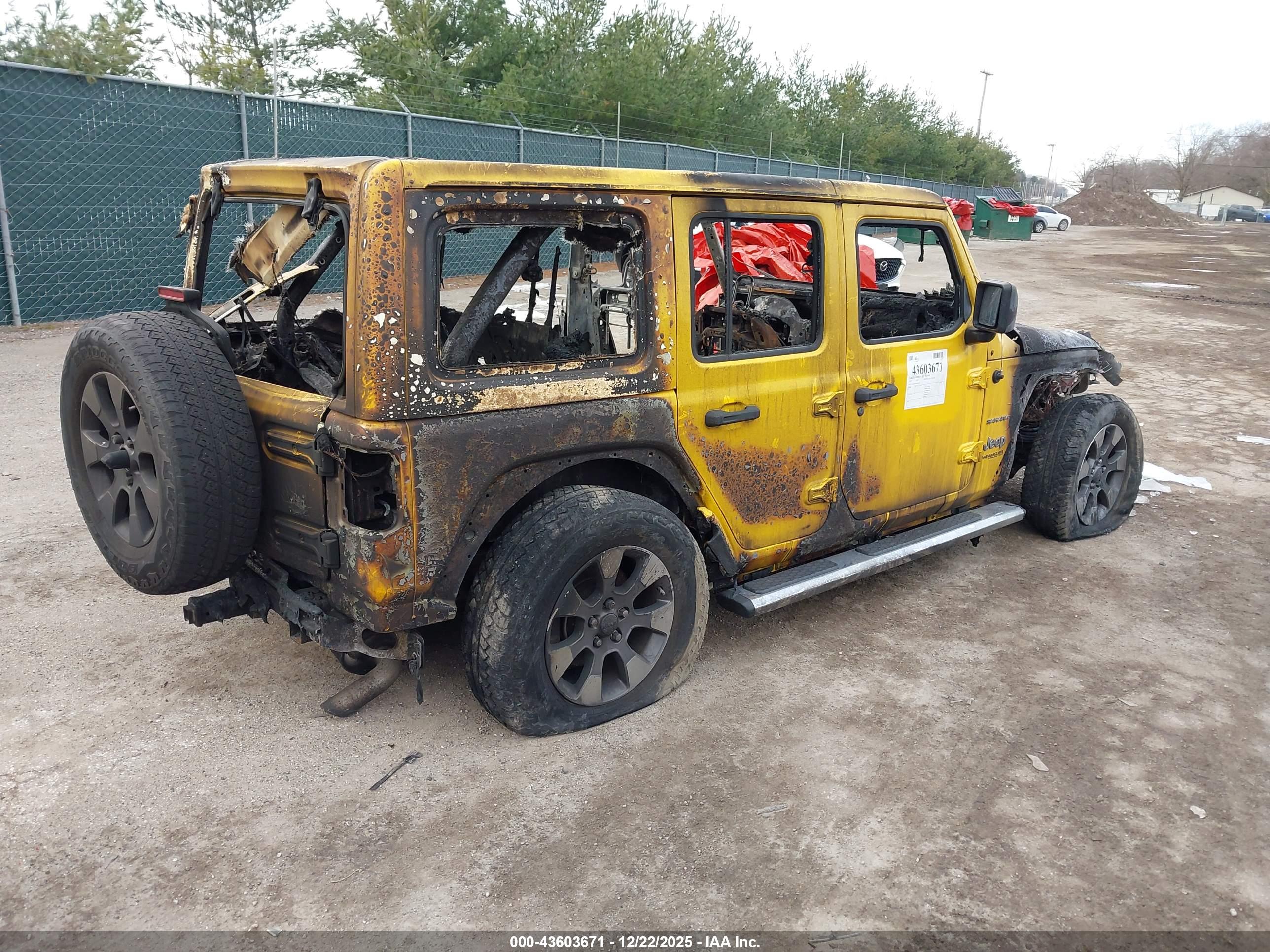 JEEP WRANGLER image 4