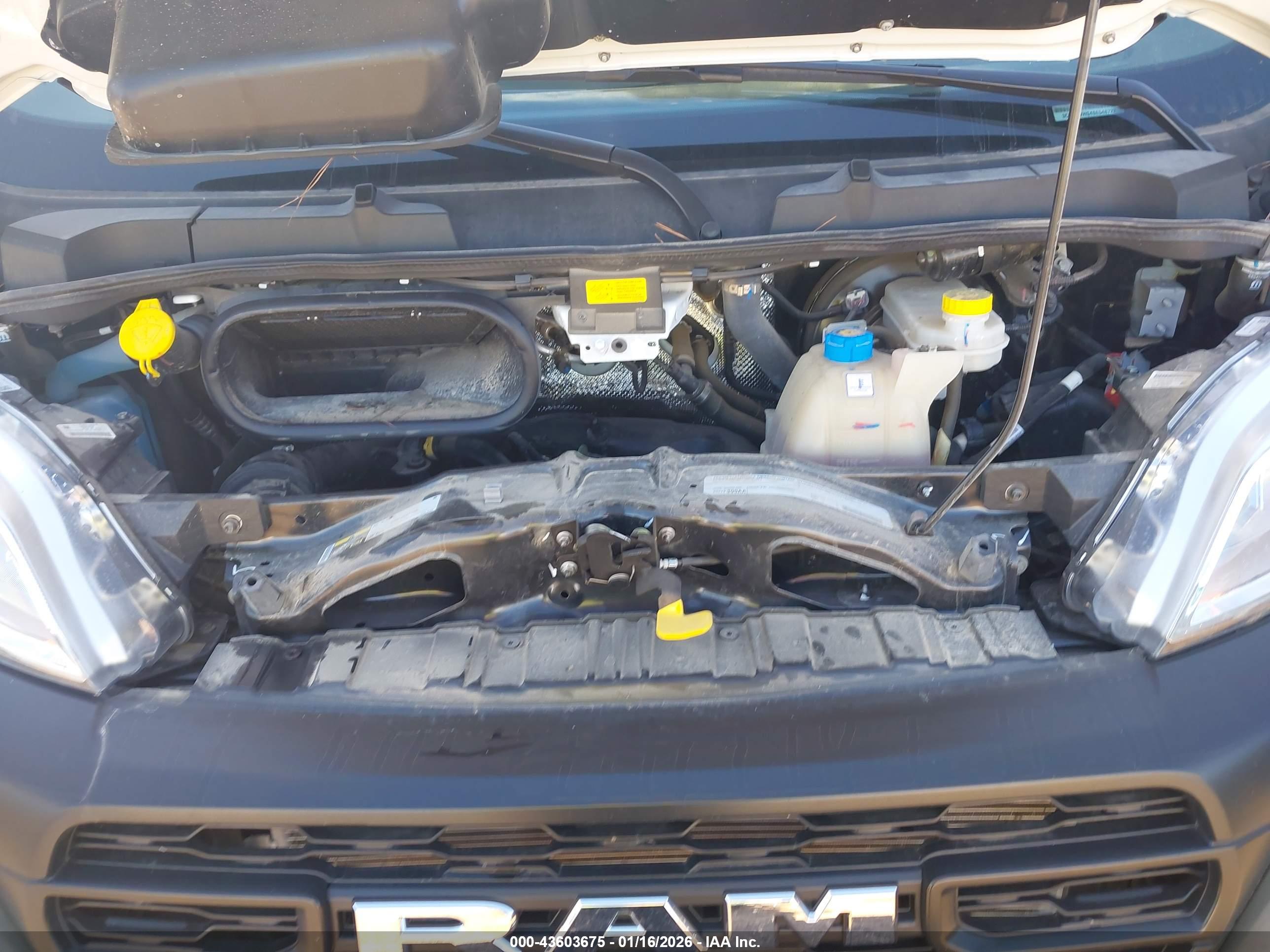 RAM PROMASTER image 10