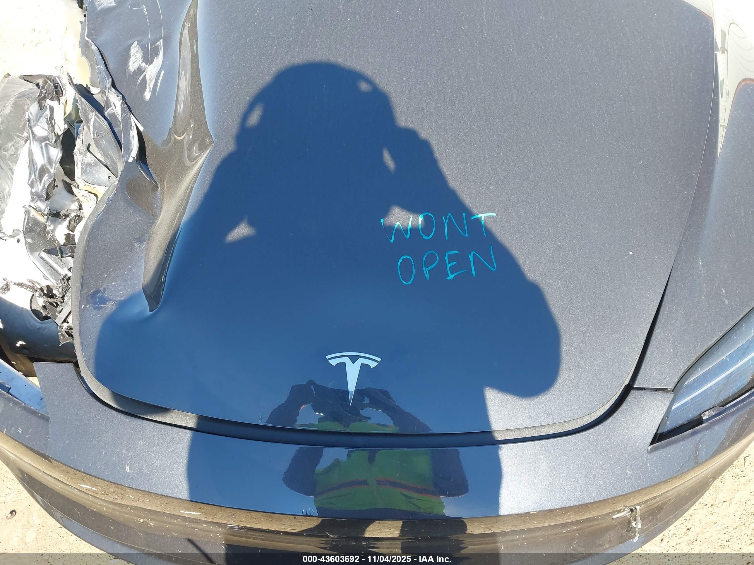 TESLA MODEL image 10