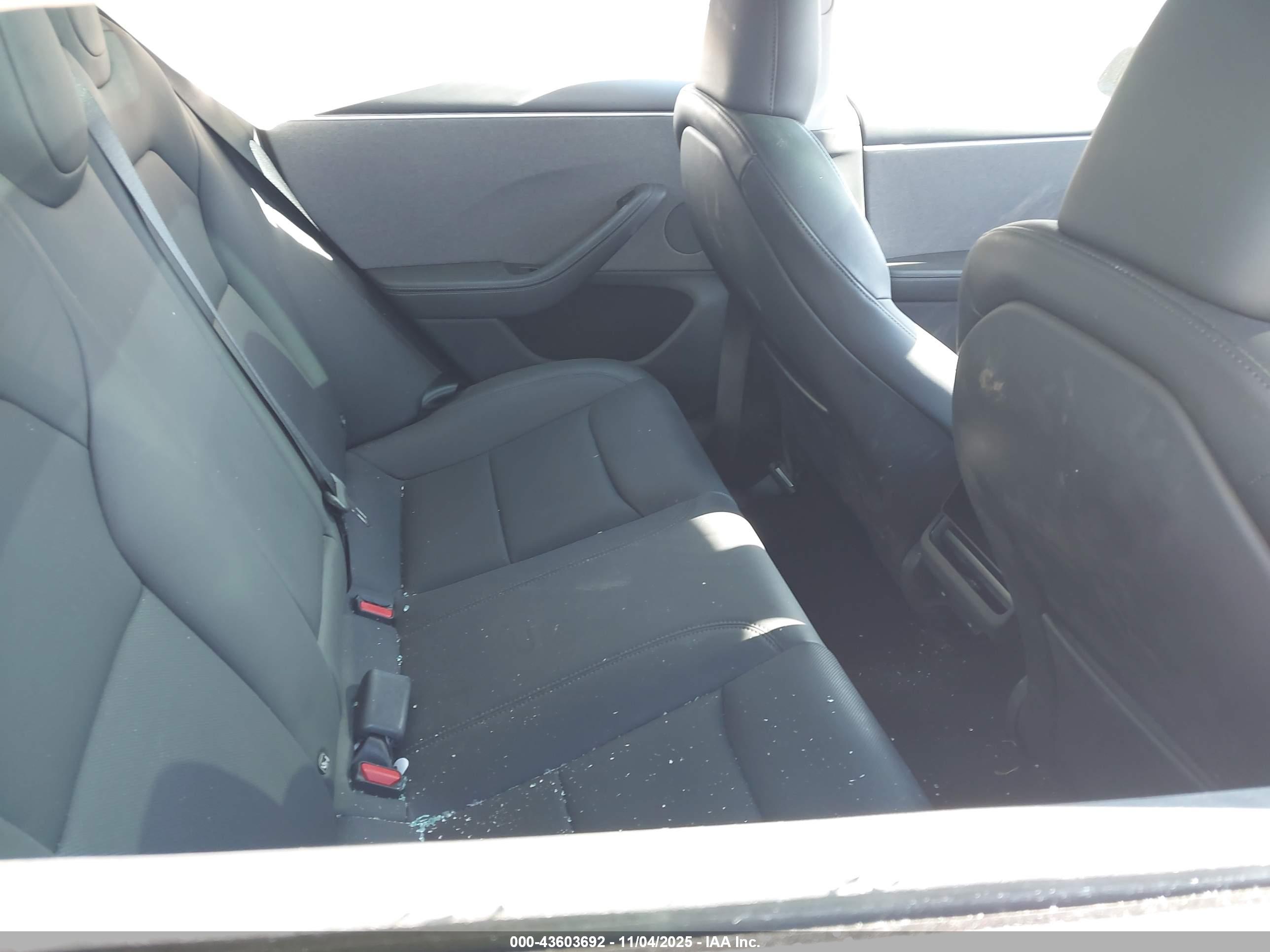 TESLA MODEL image 8