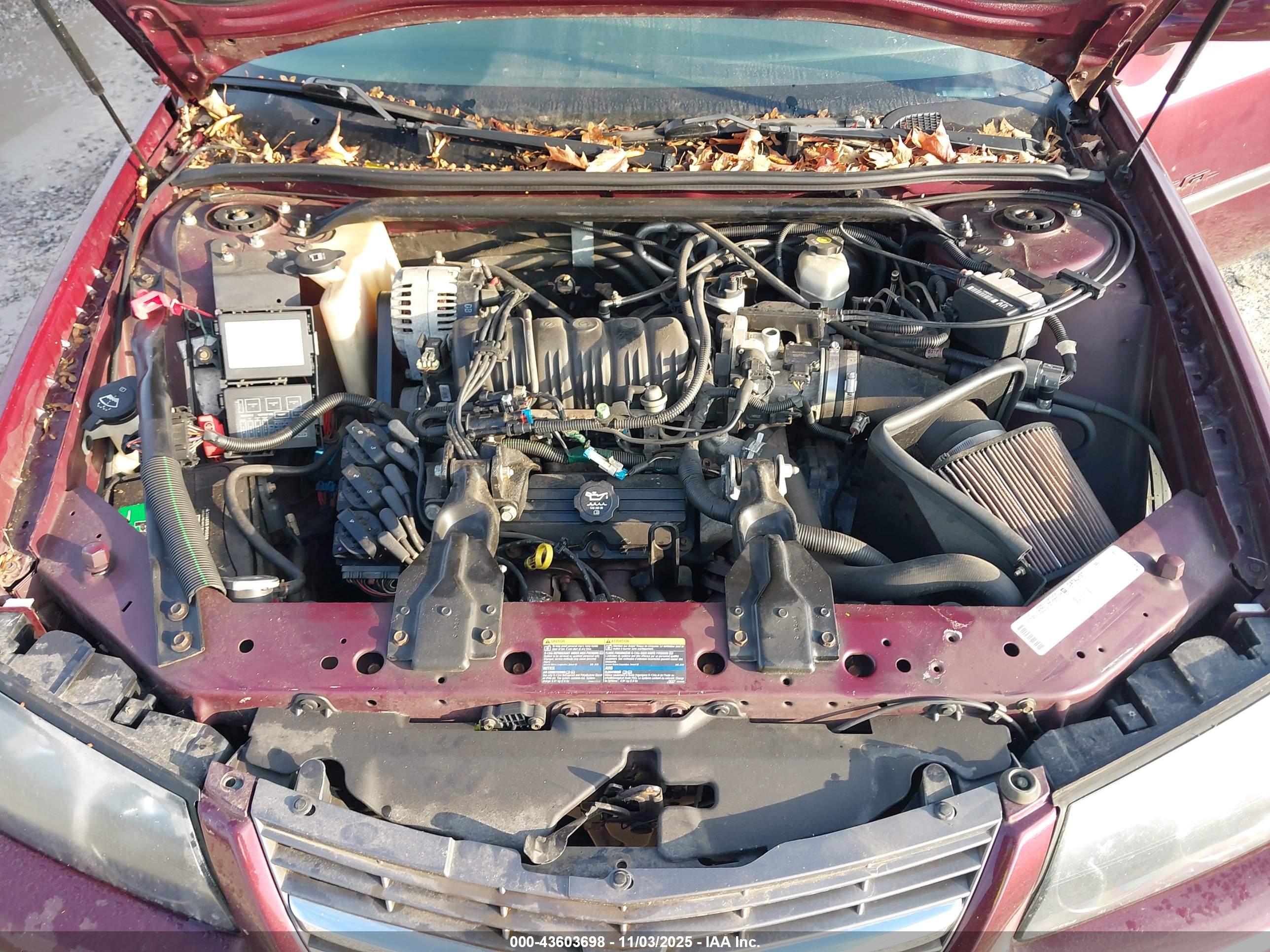 CHEVROLET IMPALA image 10