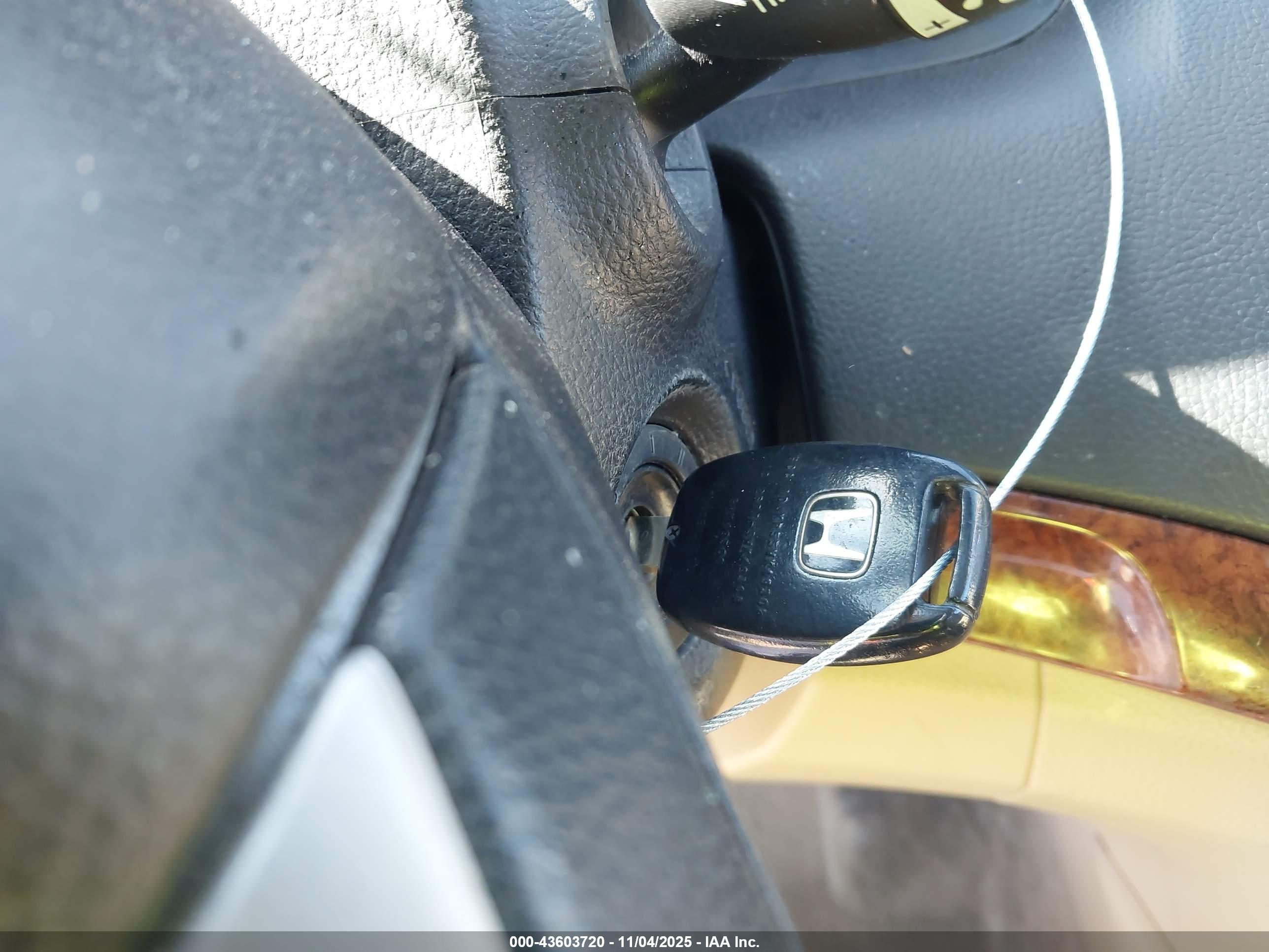 HONDA ACCORD image 11