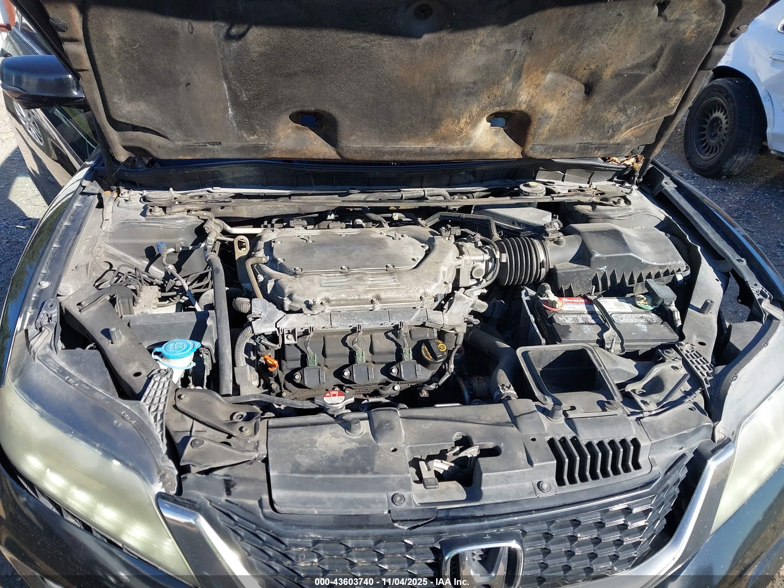HONDA ACCORD image 10