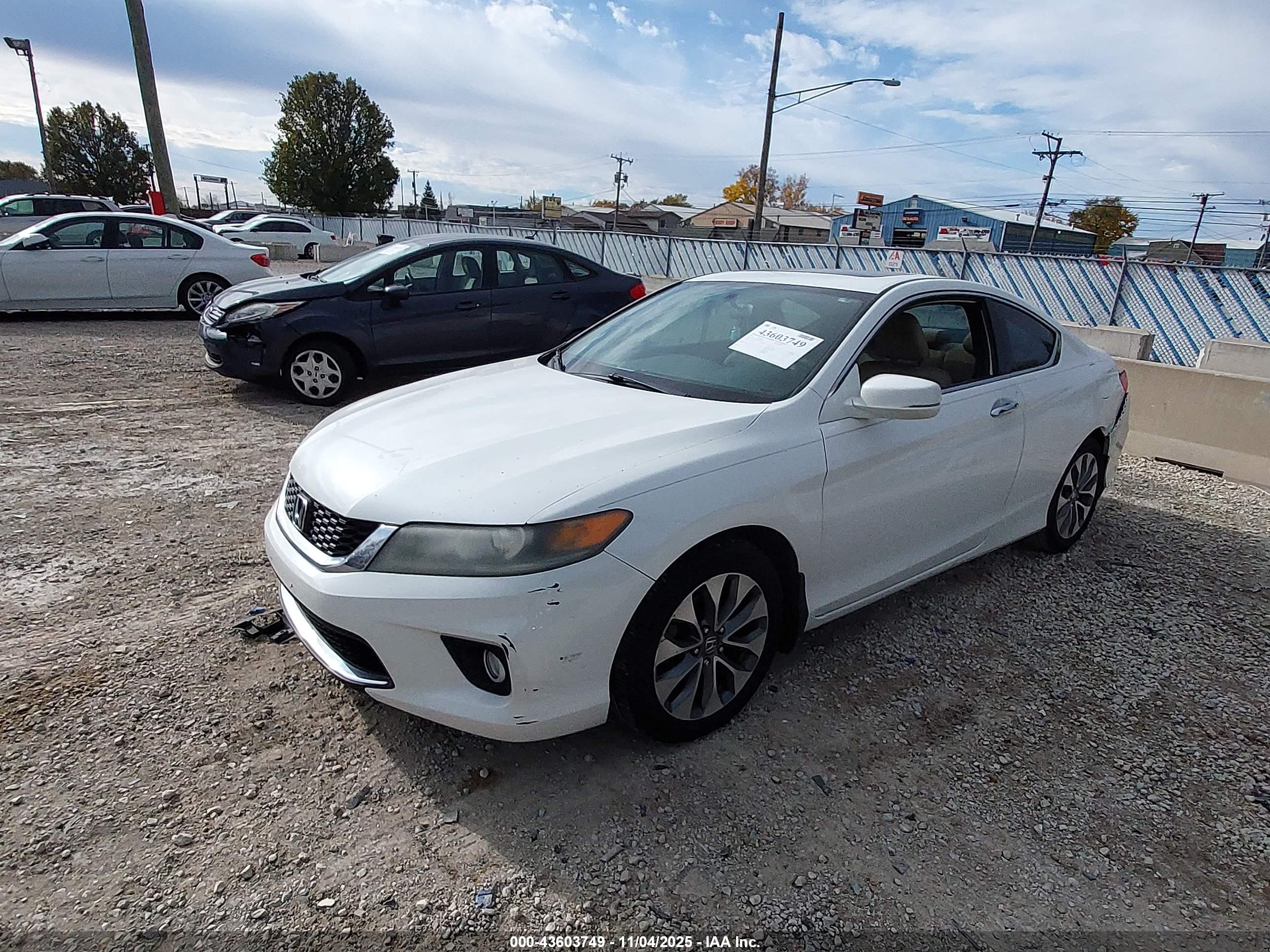 HONDA ACCORD image 2