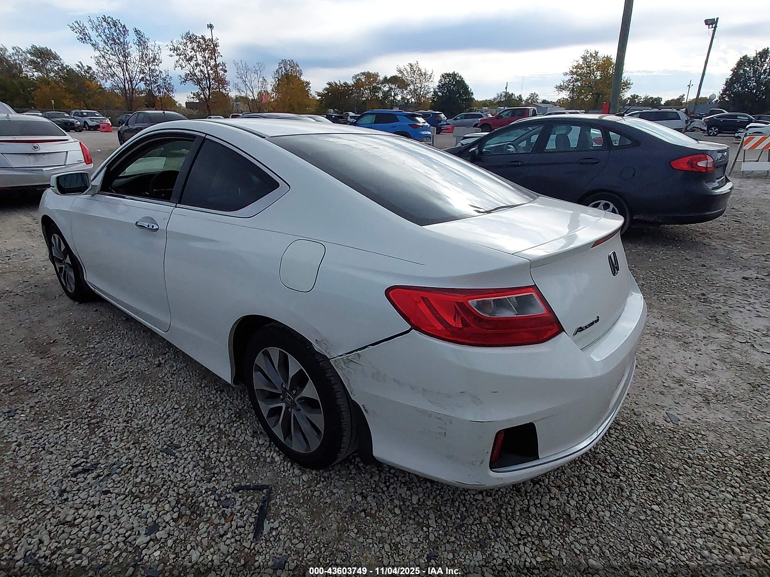 HONDA ACCORD image 3