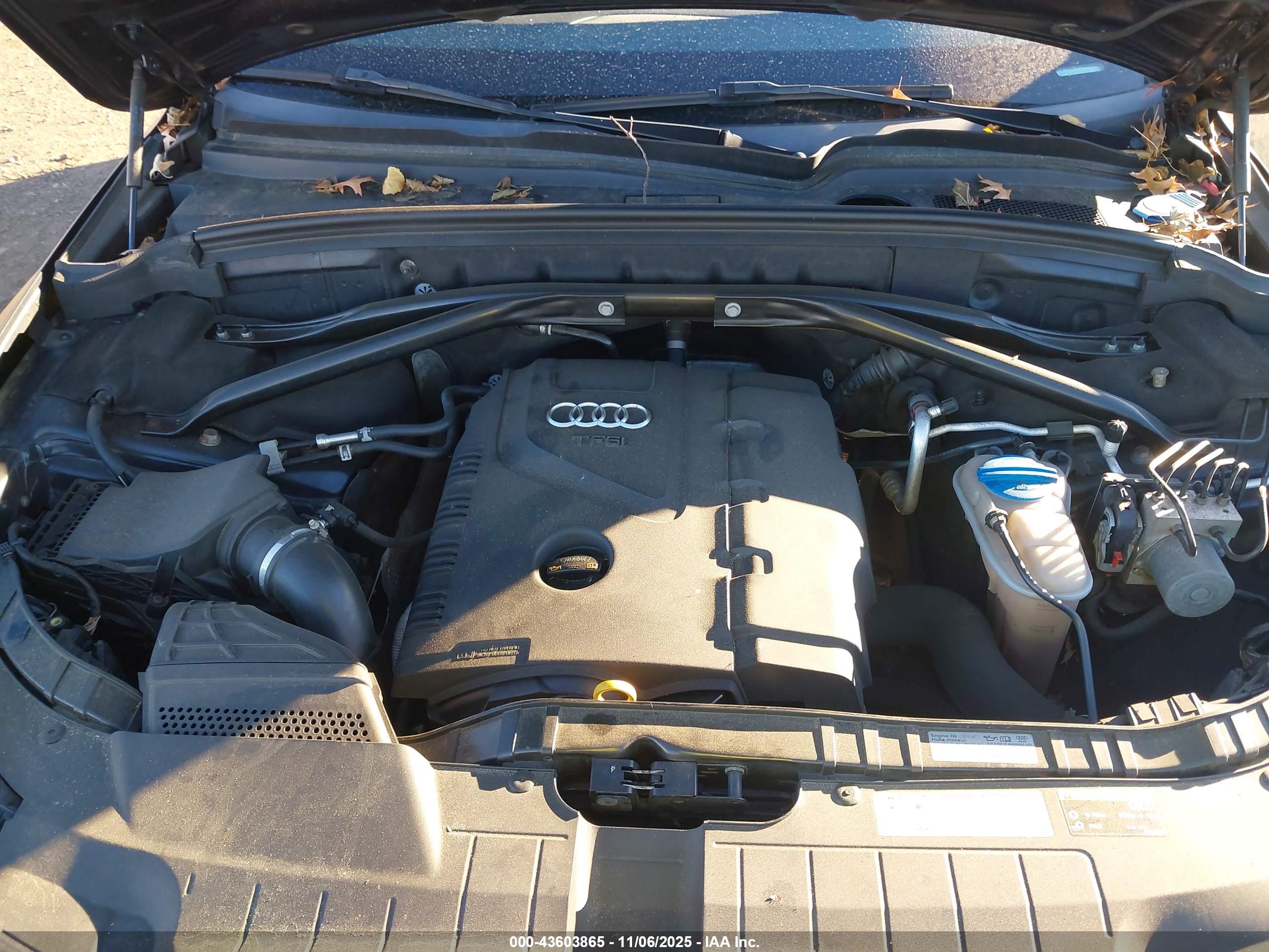 AUDI Q5 image 10