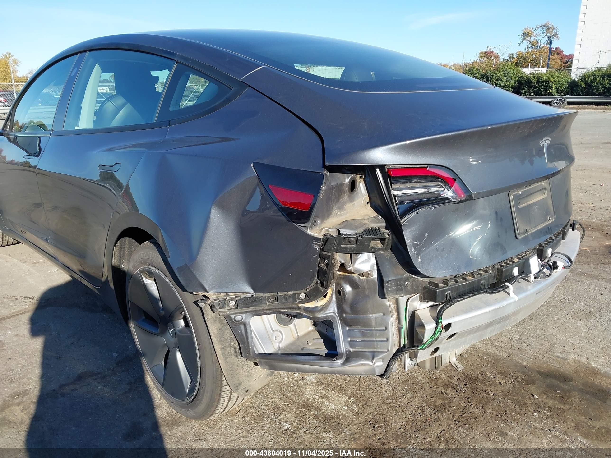 TESLA MODEL image 6