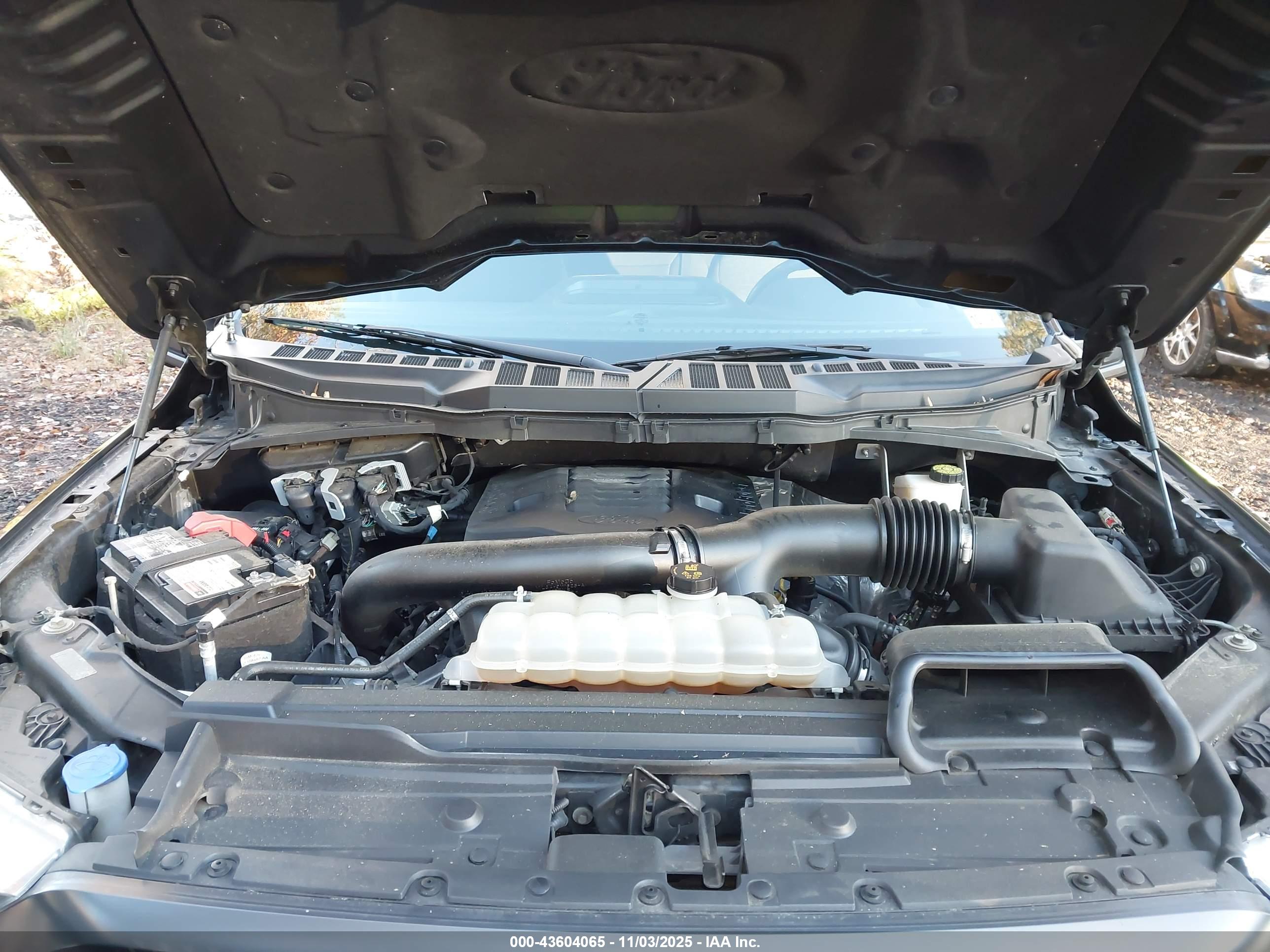 FORD F-150 image 10