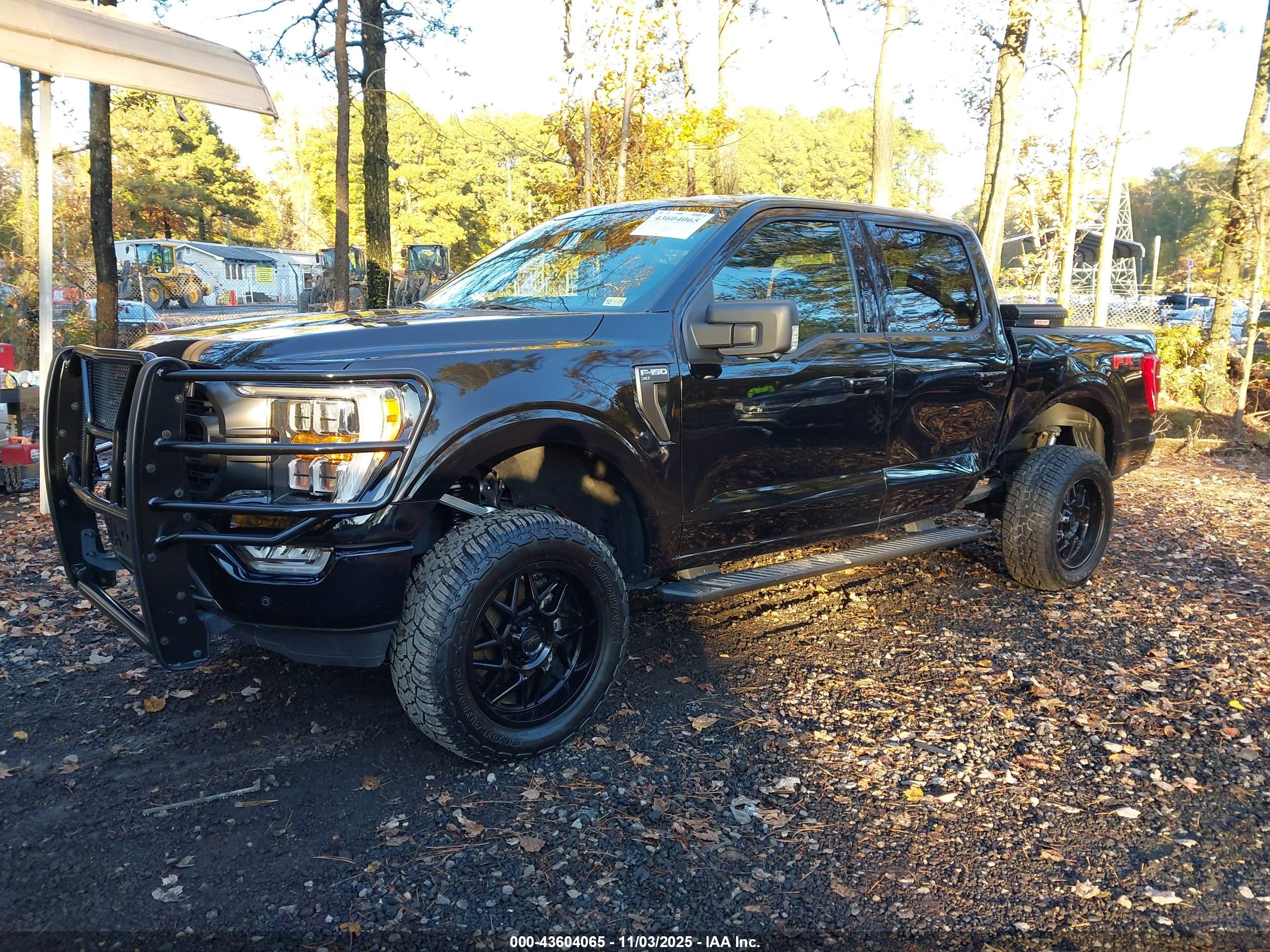 FORD F-150 image 2