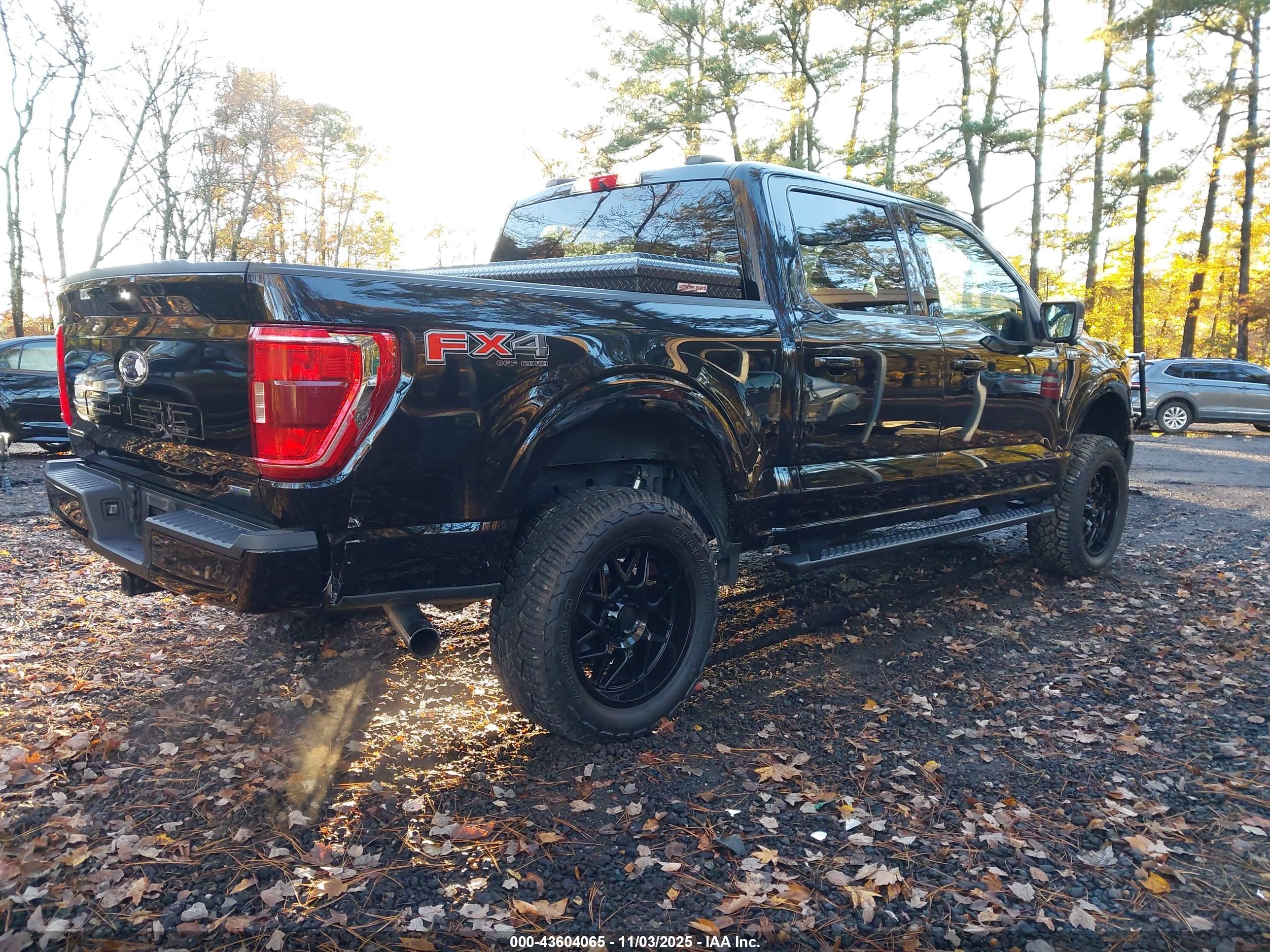 FORD F-150 image 4